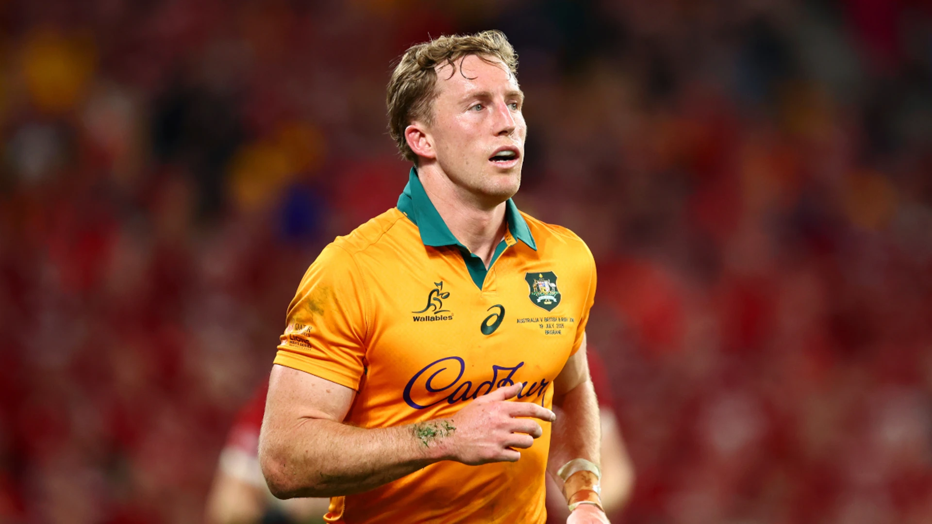 Wallabies wing Potter rubbishes 'ridiculous' losing mentality jibe