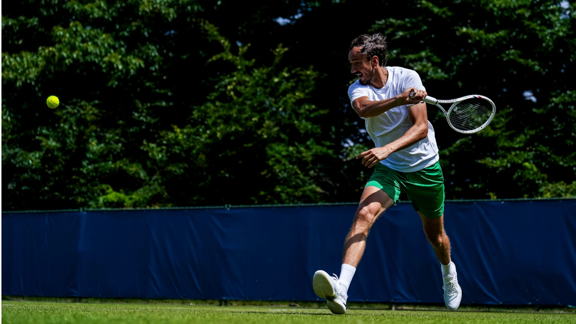 Medvedev overcomes Mannarino in Den Bosch, Mertens and Andreescu advance