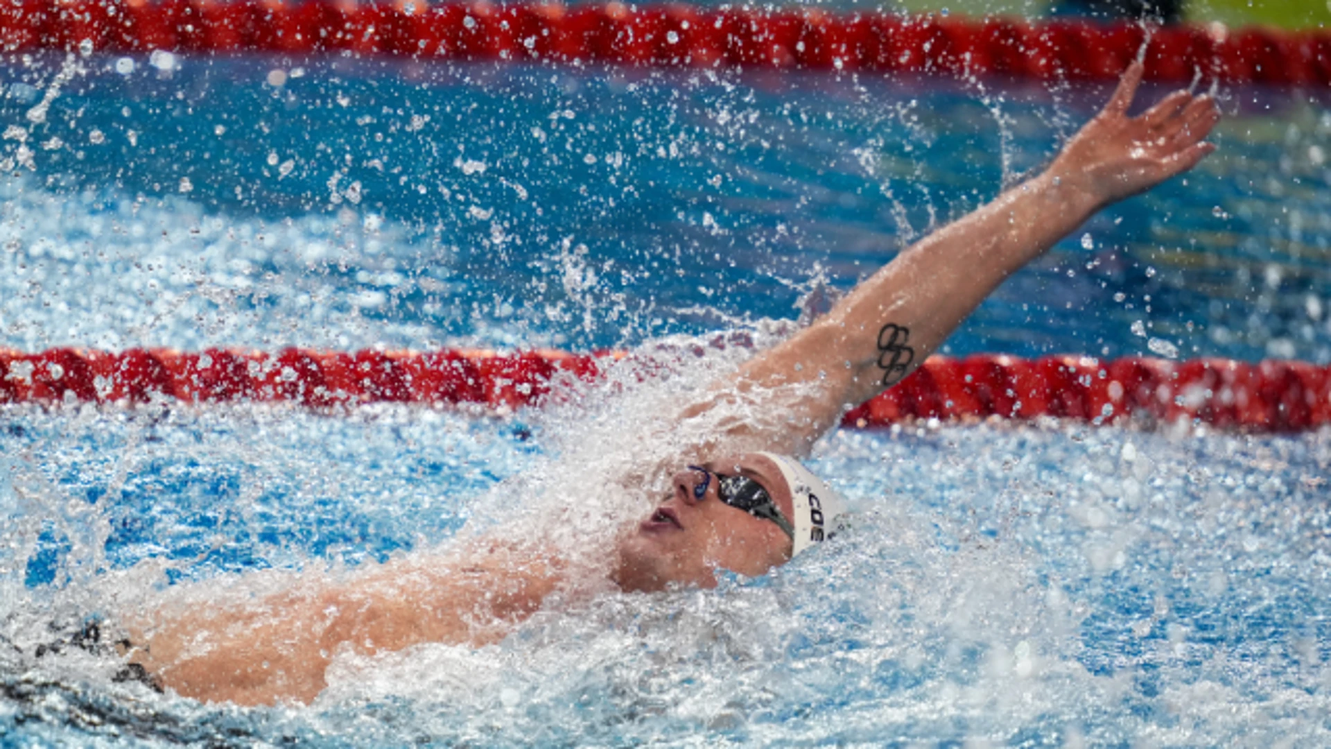 Shanghai | Day 3 Highlights | World Aquatics Swimming World Cup