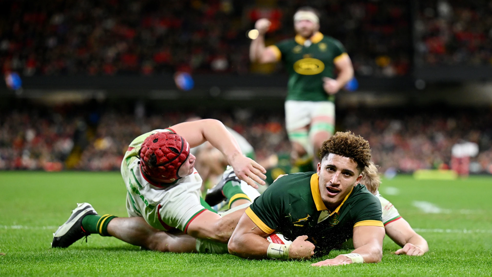 DRAGON SLAYERS: Seven-try Boks smash Wales in Cardiff