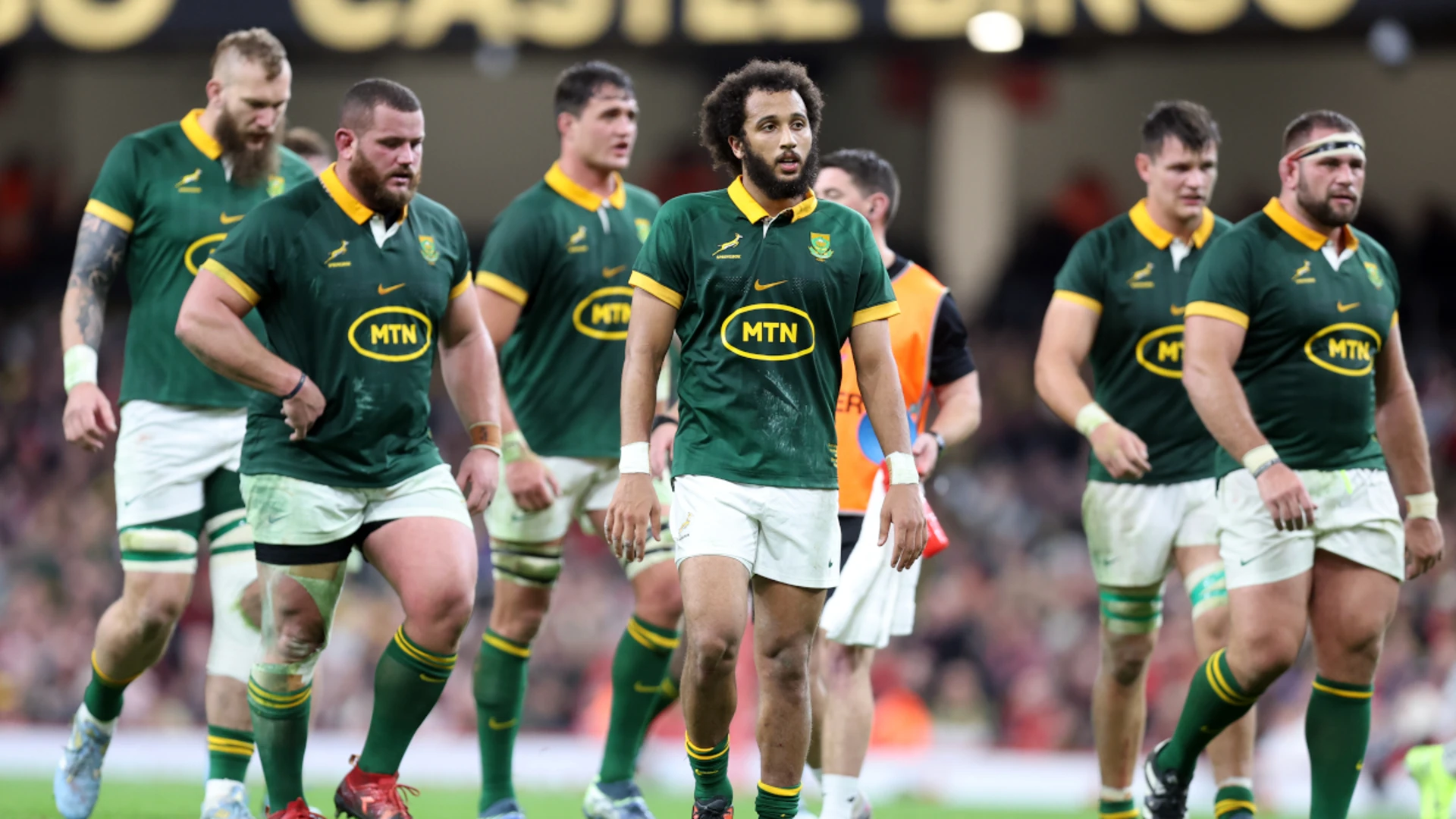 South Africa beat Wales  in November Test