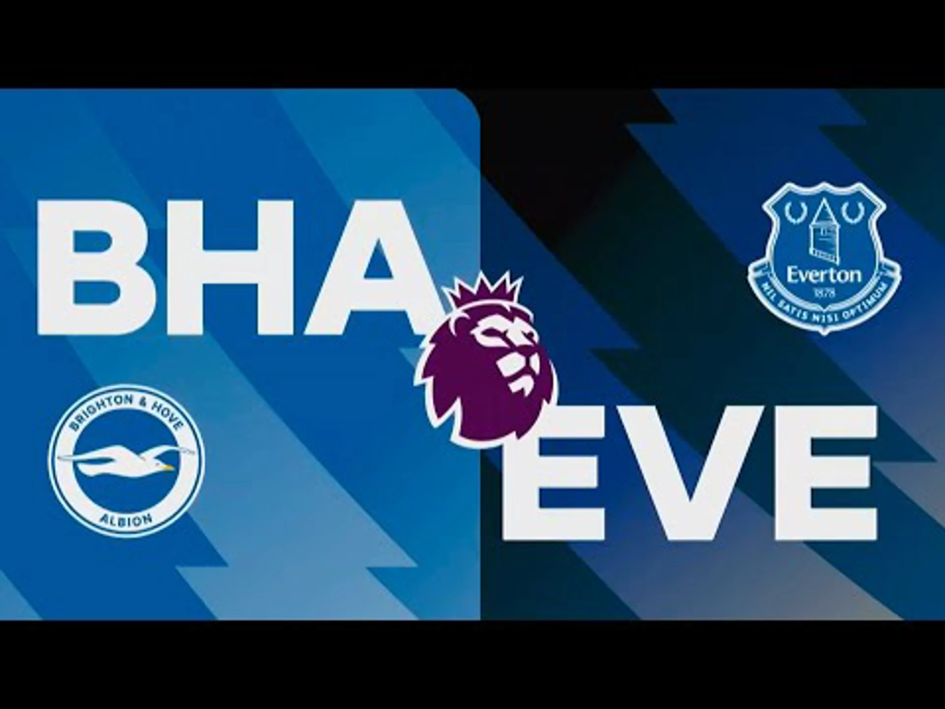 Brighton v Everton | Match Preview | Premier League