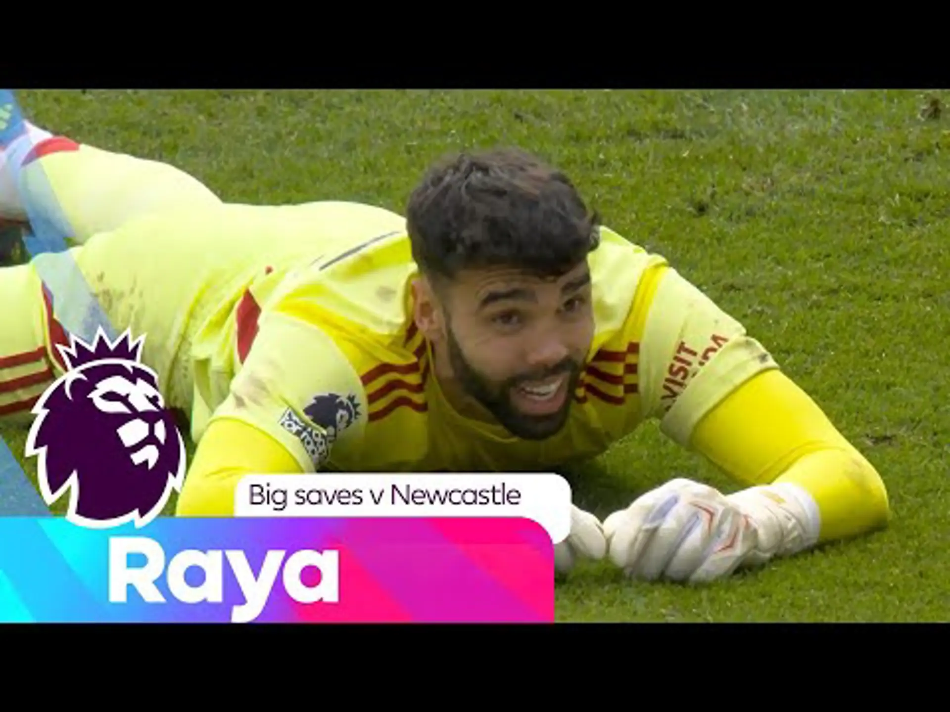 David Raya's hard-earned clean sheet against Newcastle | Premier League