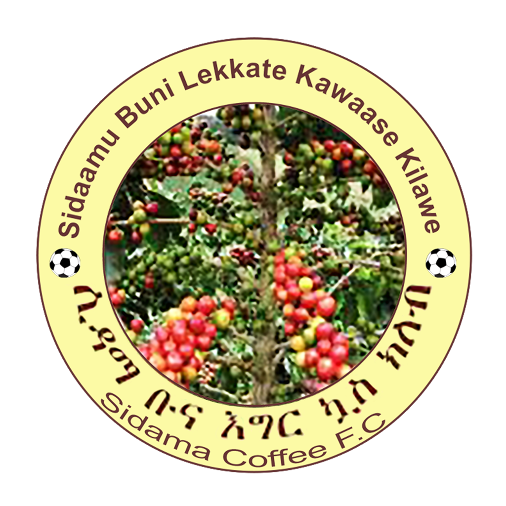 Sidama Coffee