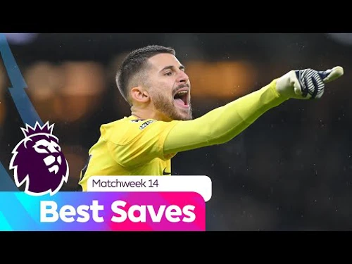 Best Saves For Matchweek 14 Premier League Supersport