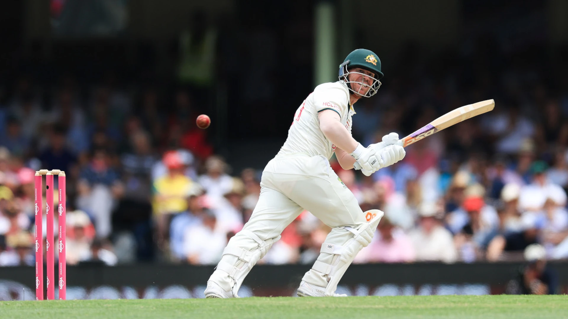 Warner out for 34 in farewell test as rain thwarts Pakistan