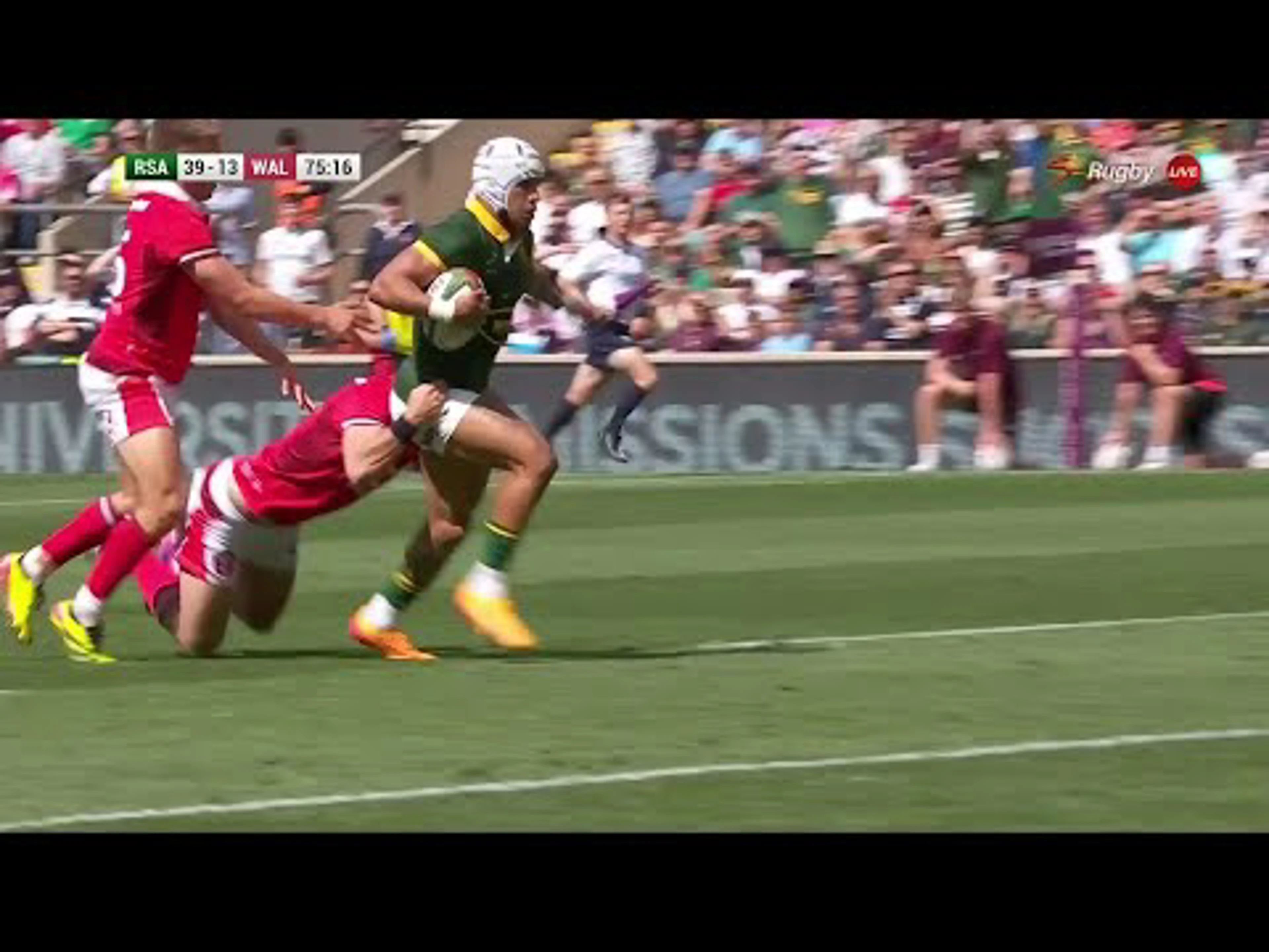 Edwill van der Merwe | 74ᵗʰ Minute Try v Wales