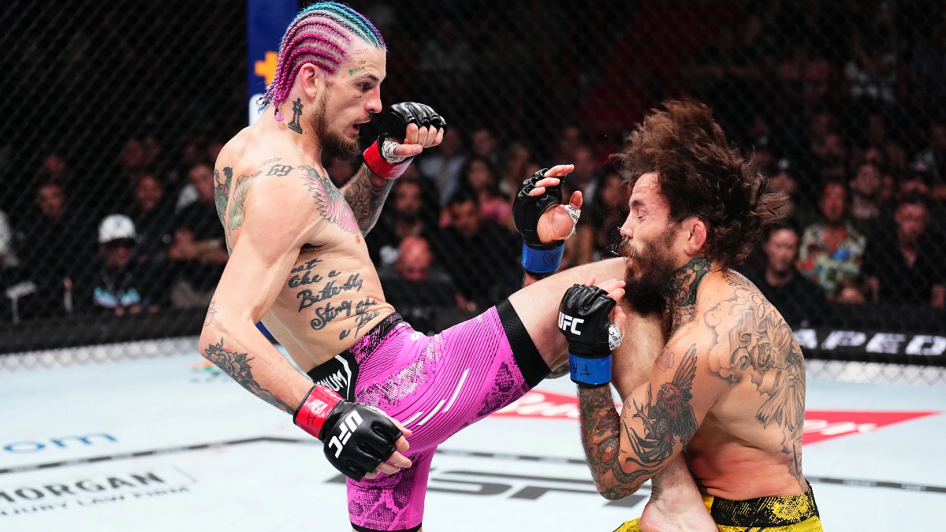  O’Malley outclasses Vera to retain the bantamweight belt