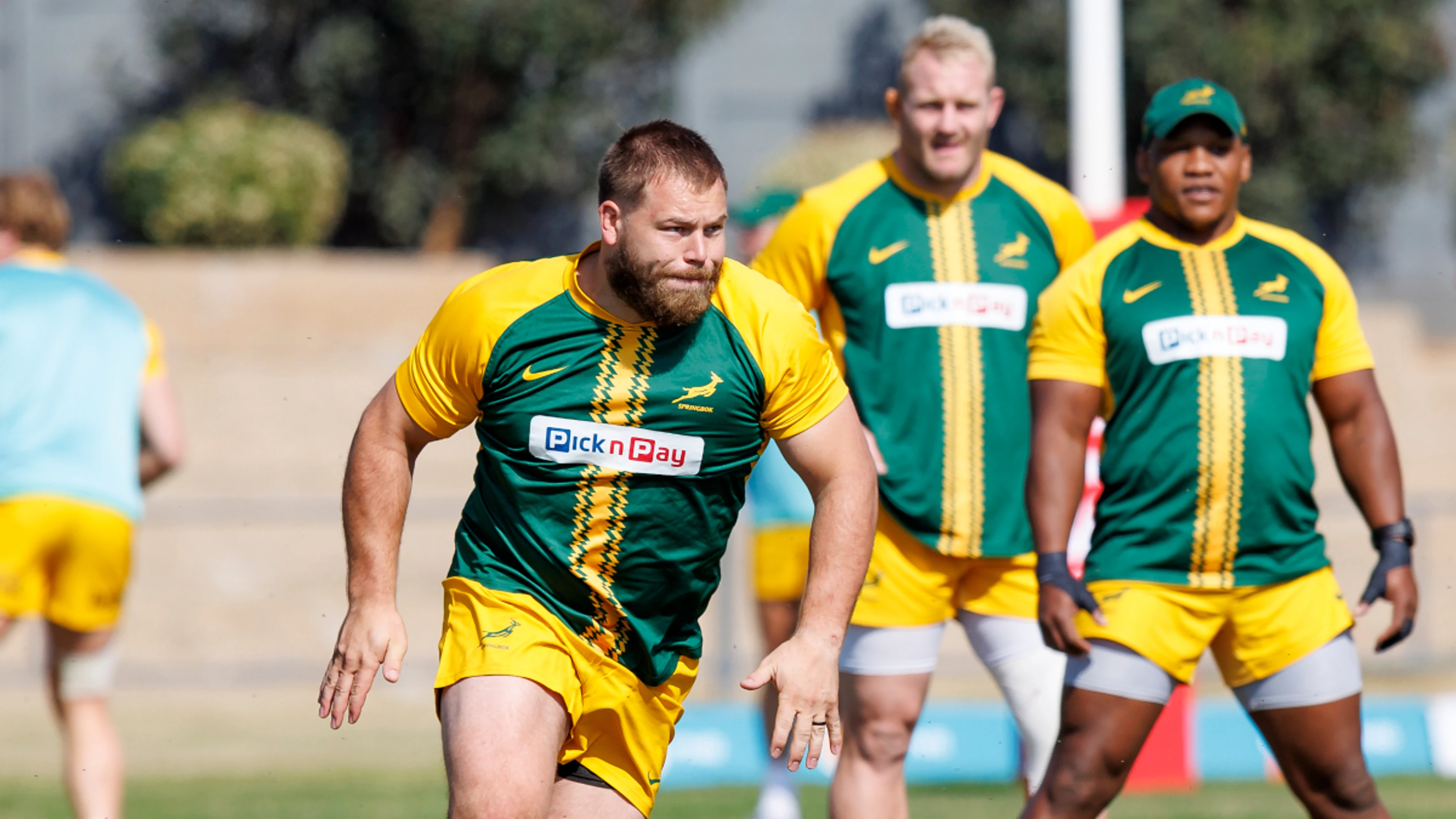 Venter drafted onto Bok bench against Australia as Wessels is forced to withdraw