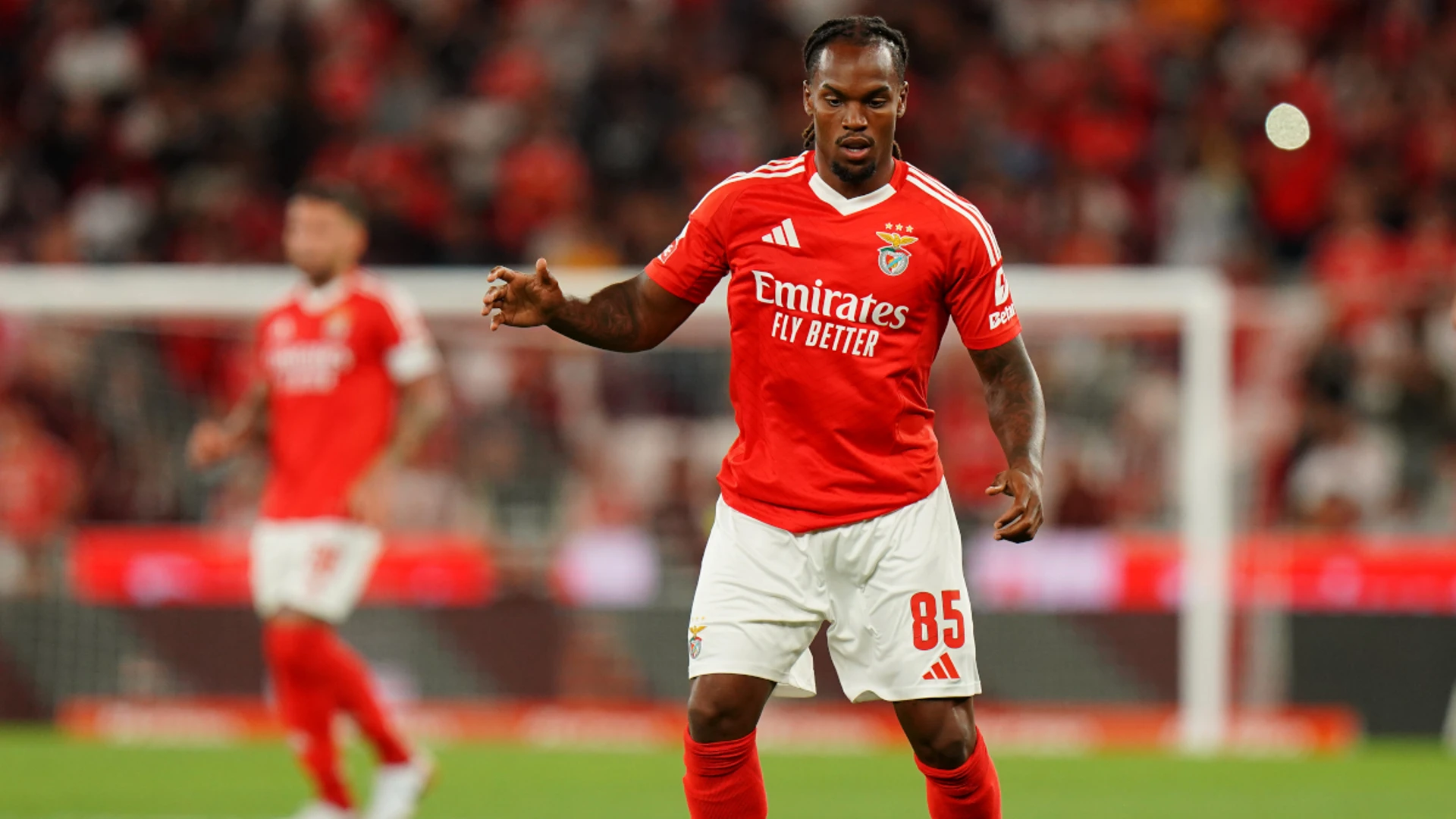 Benfica's Renato Sanches set to return against Feyenoord