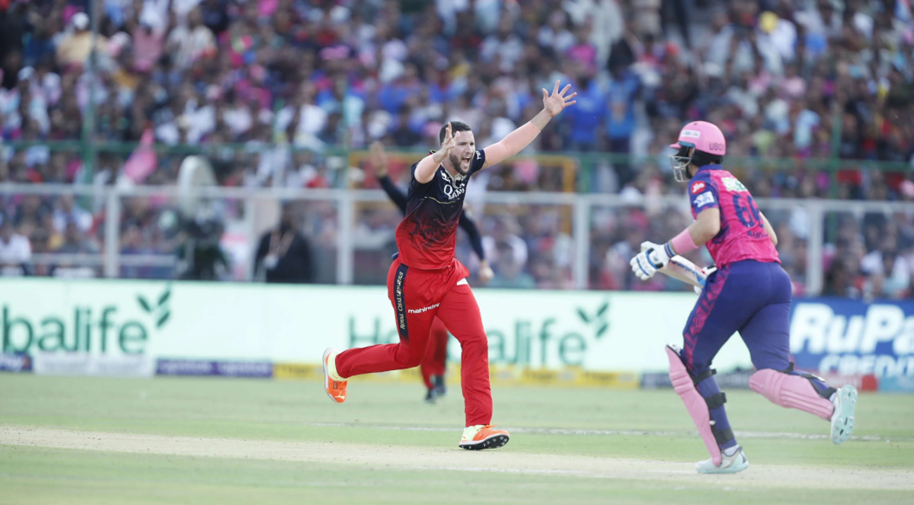 Du Plessis, Parnell star in RCB victory