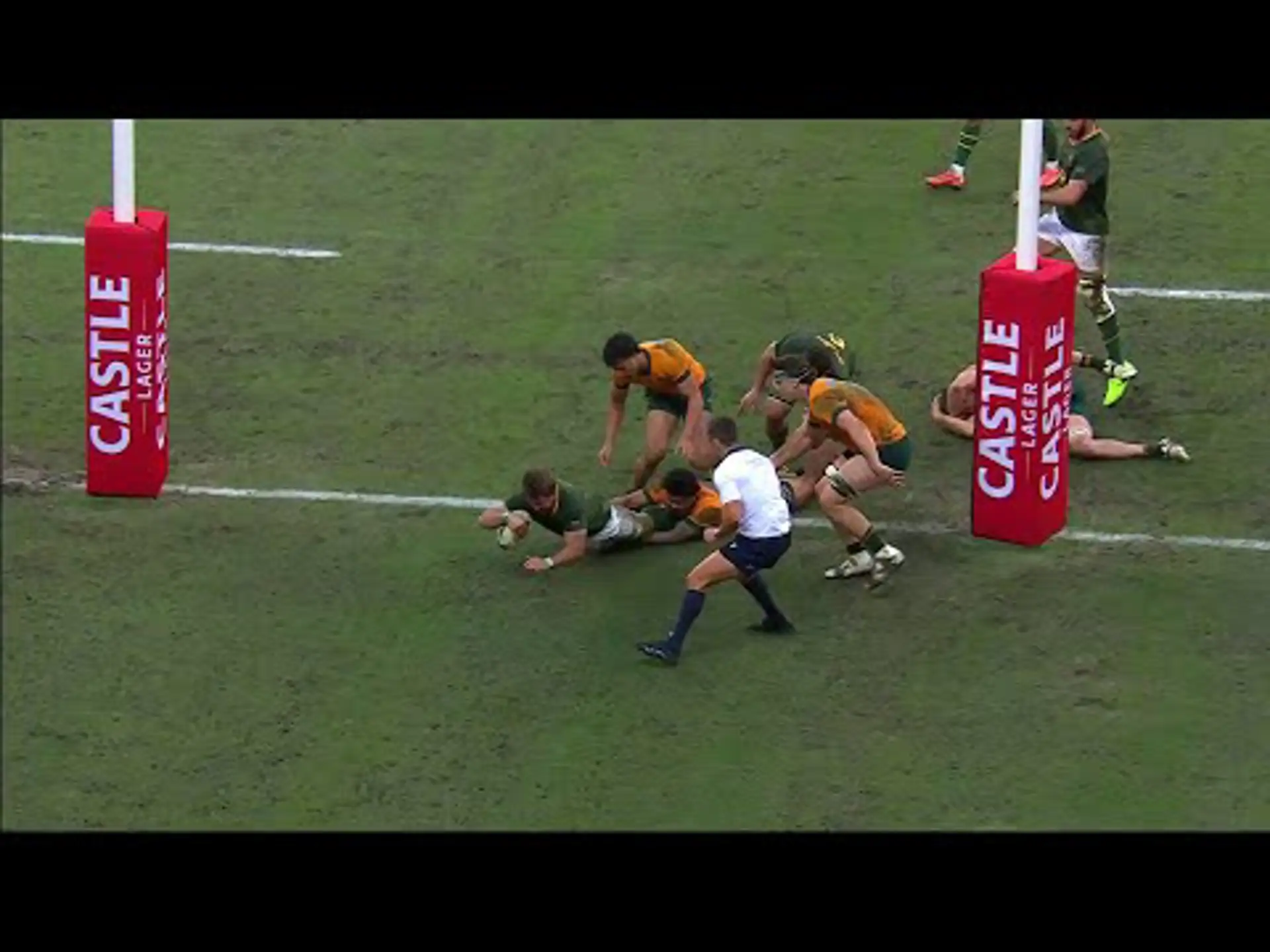 Springboks v Wallabies reaction