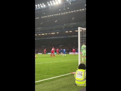 Pure emotion! Estevao's winning goal v Liverpool