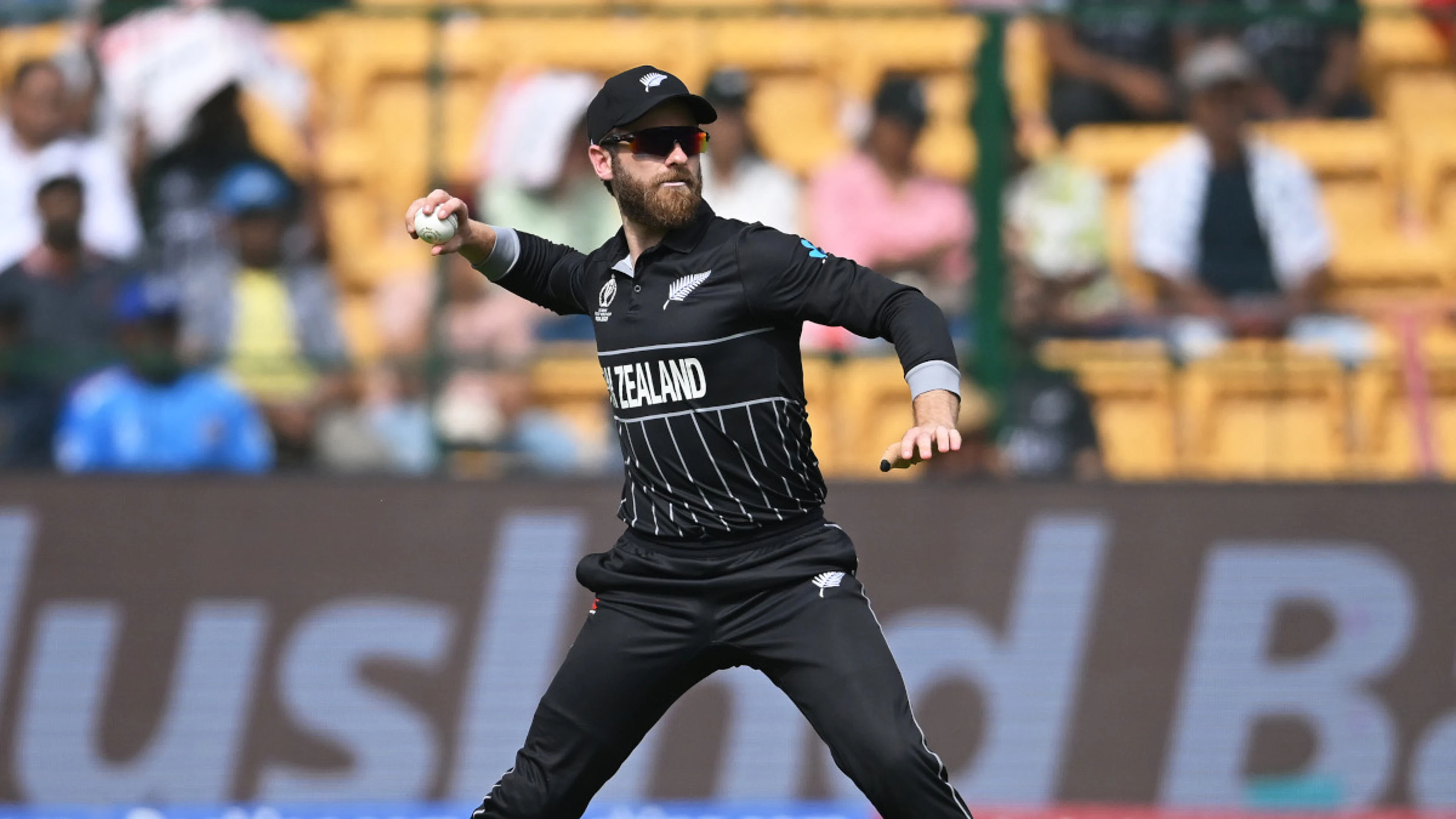 Joker Williamson climbs press conference 'Everest' at World Cup