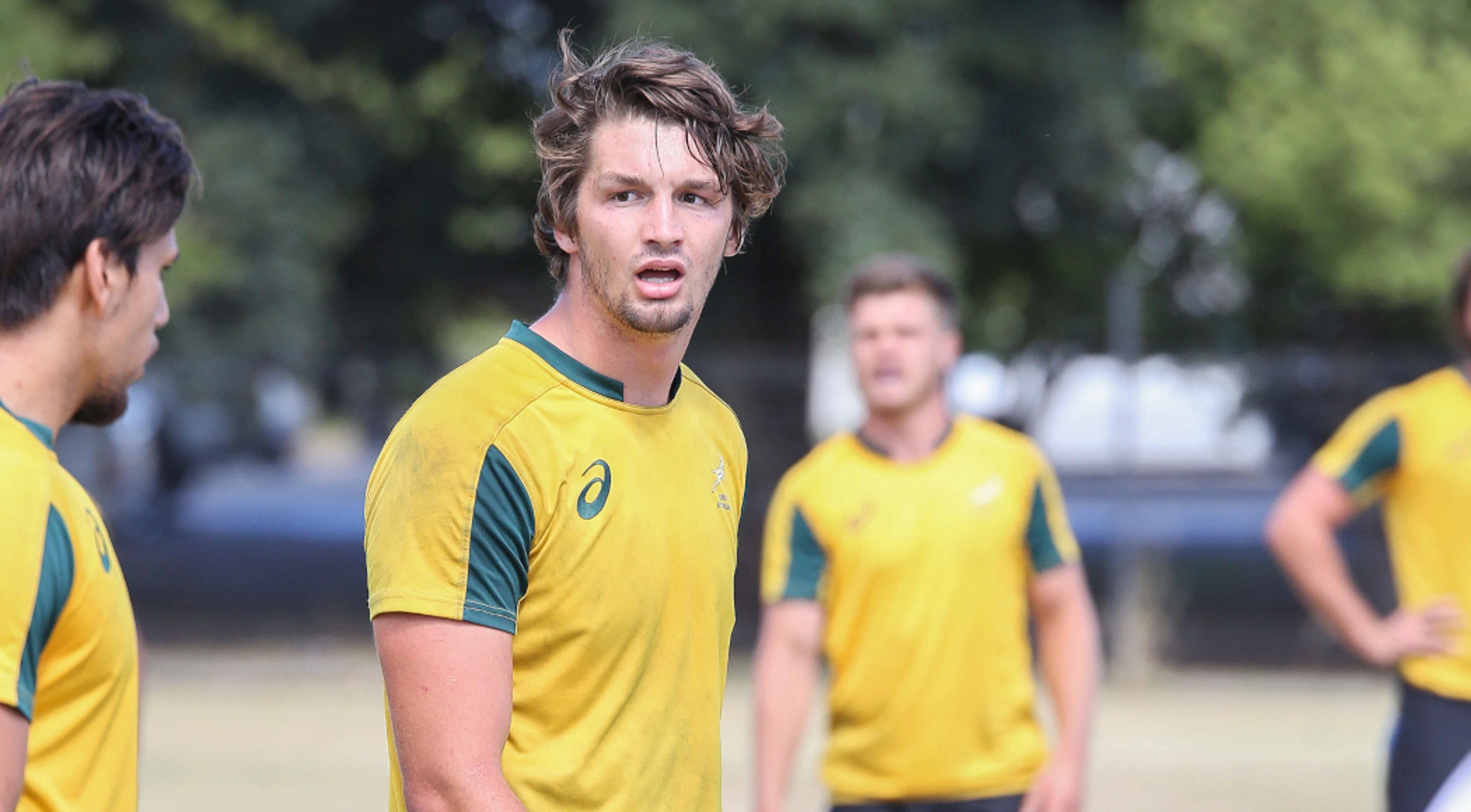 Vermaak joins Bulls in Wales