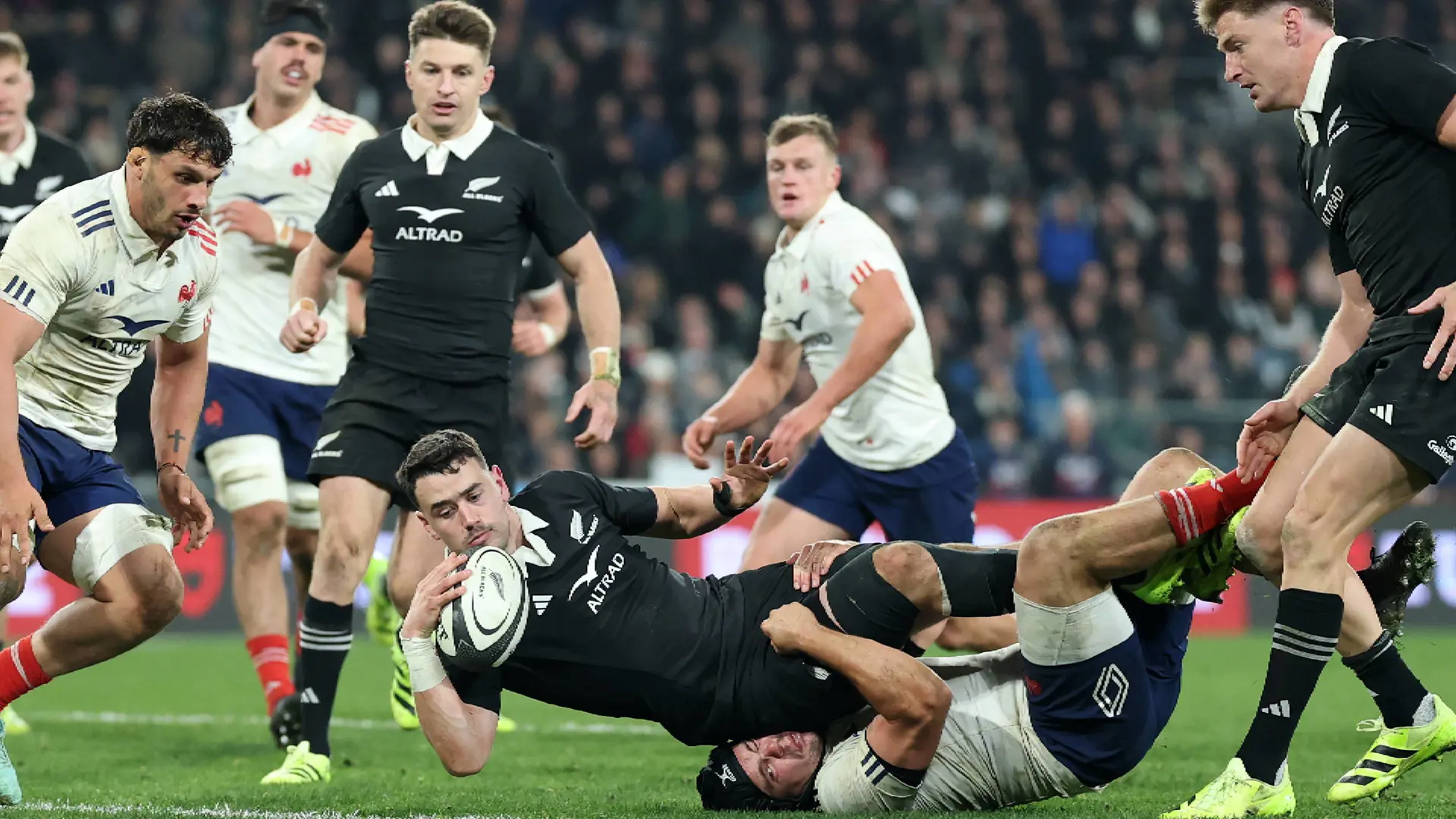 New Zealand v France | 1st Test | Match Highlights