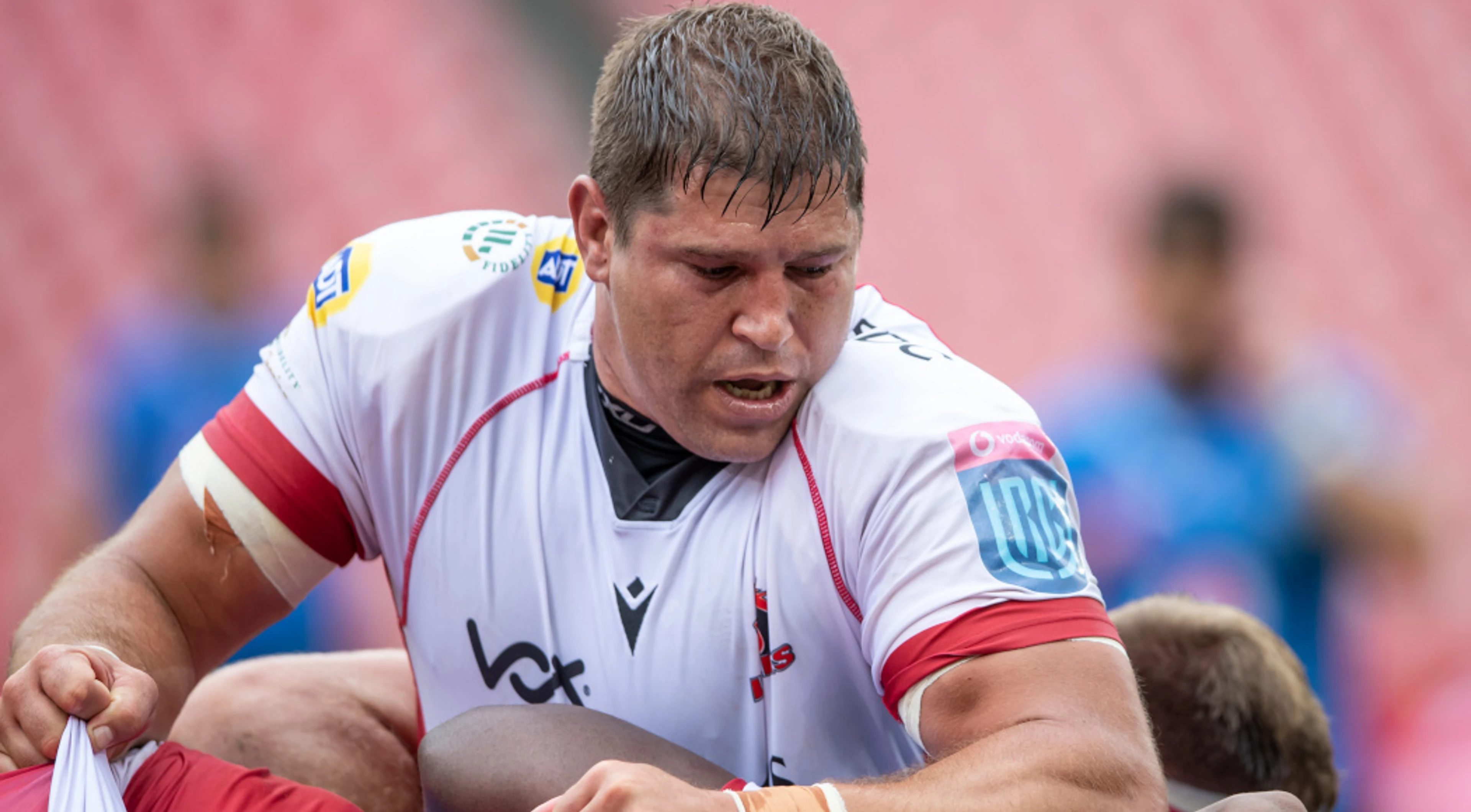 Alberts returns to bolster Lions