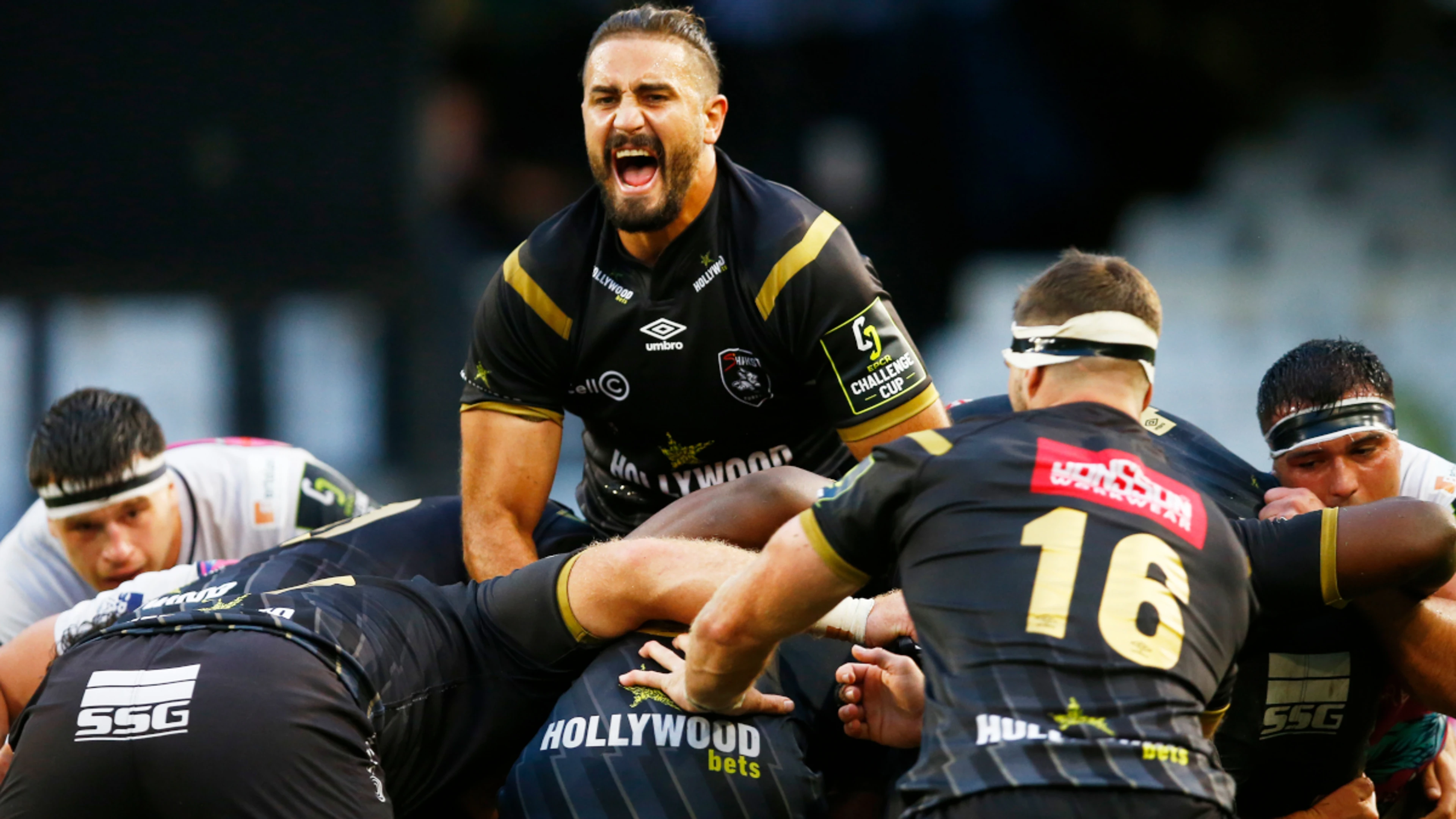 Bulls and Sharks through to European quarter-finals