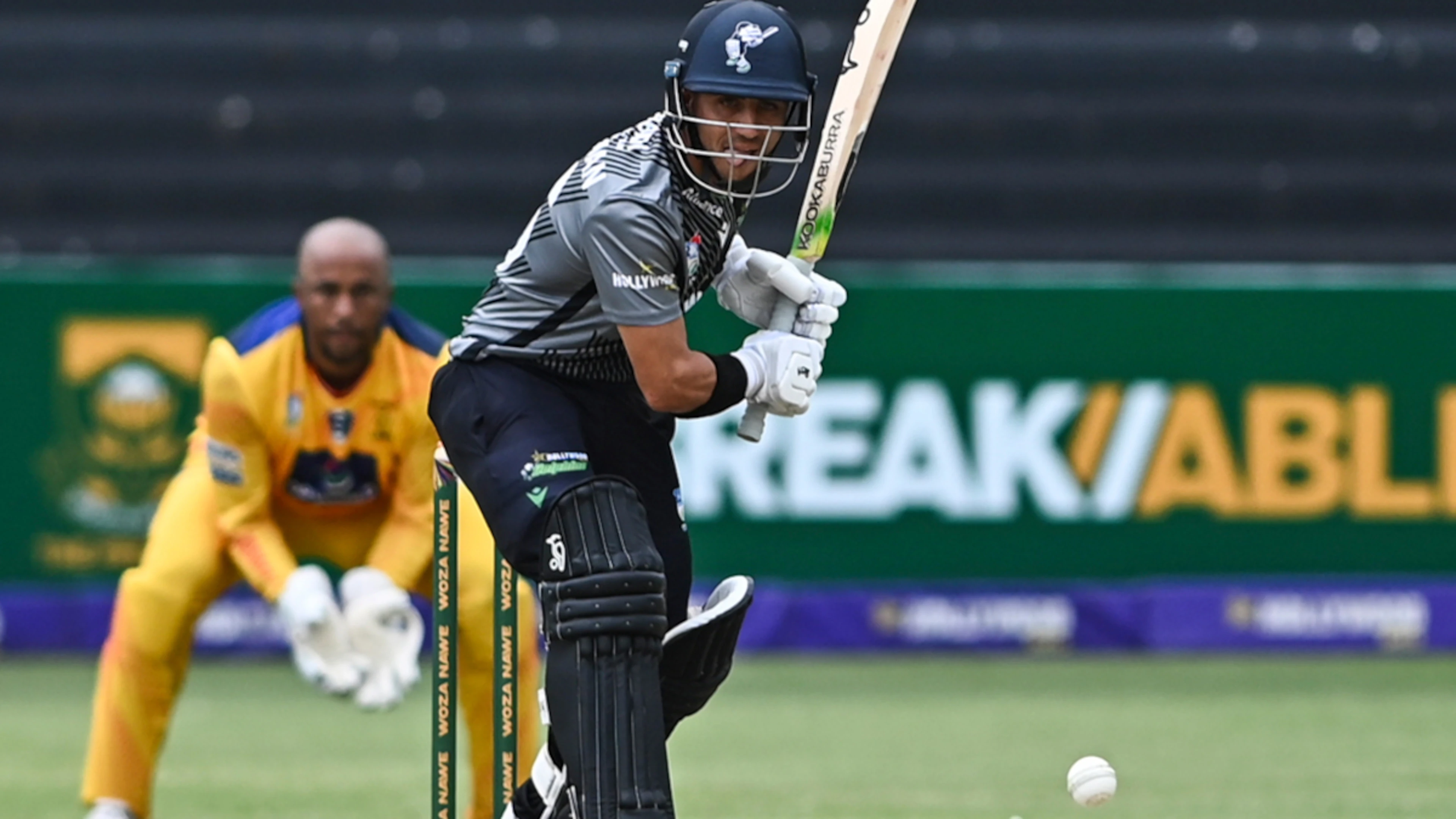 Dolphins beat Lions in thriller