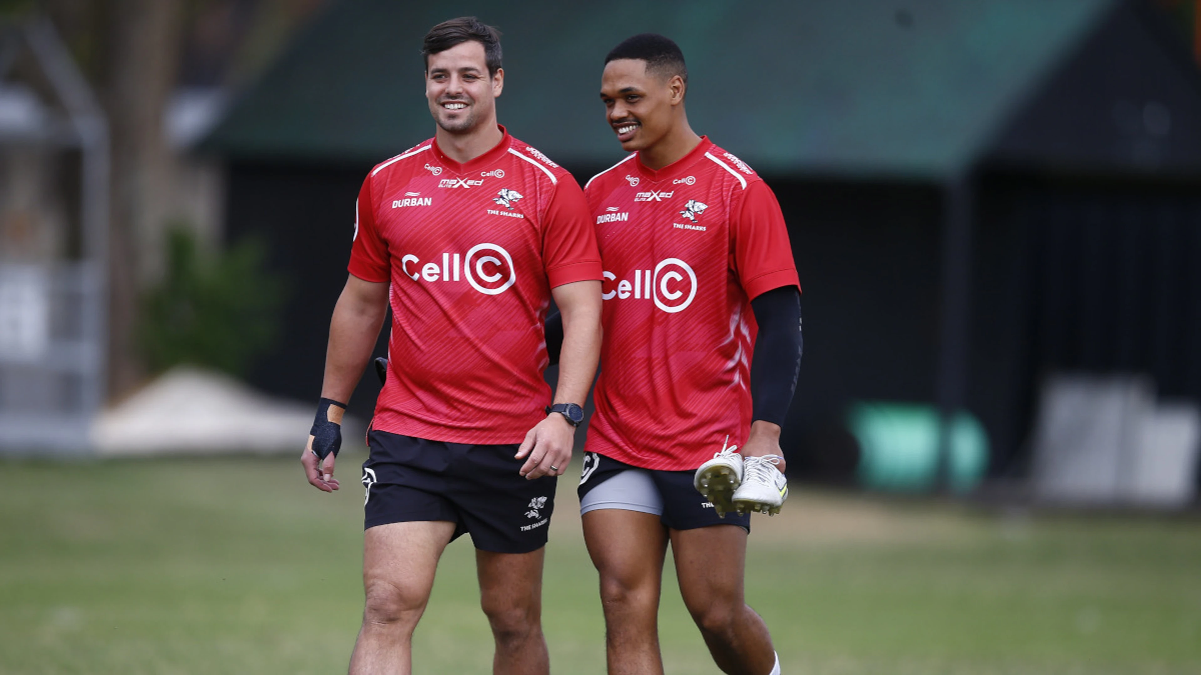 Sharks return to the guys who got them this far