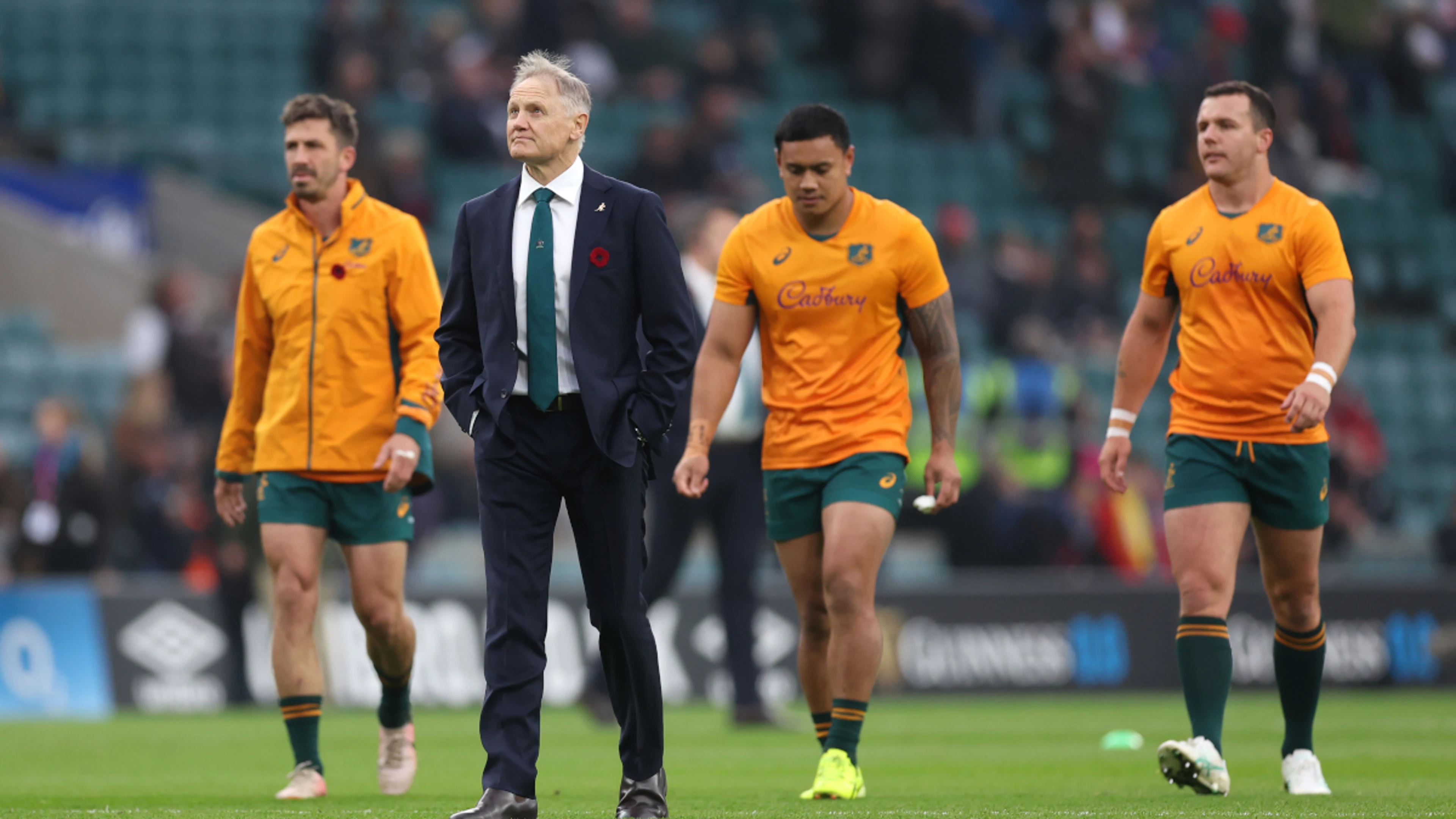 Wallabies gloom lifts with solid Northern Hemisphere tour