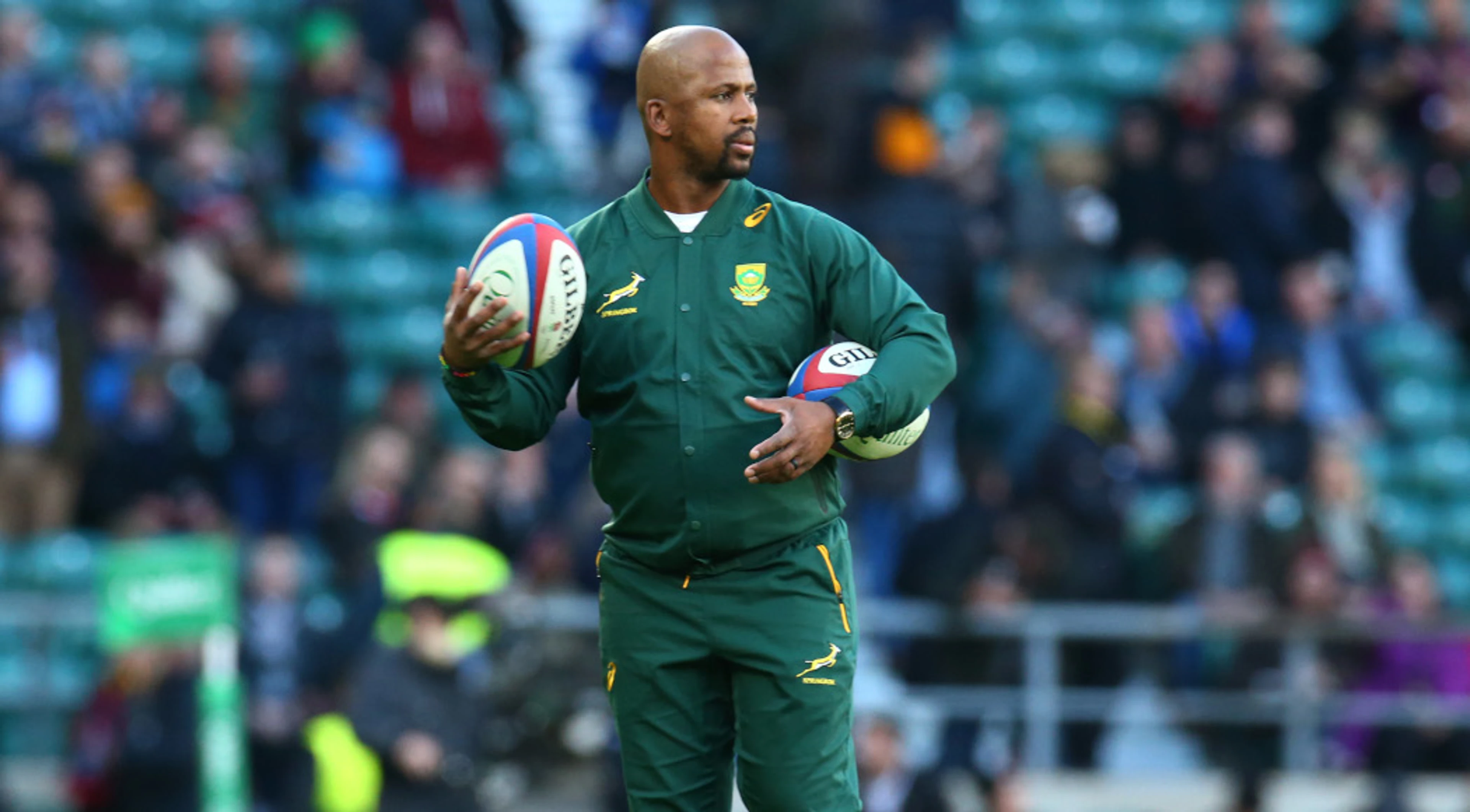 Springbok coaches renew contracts for four years