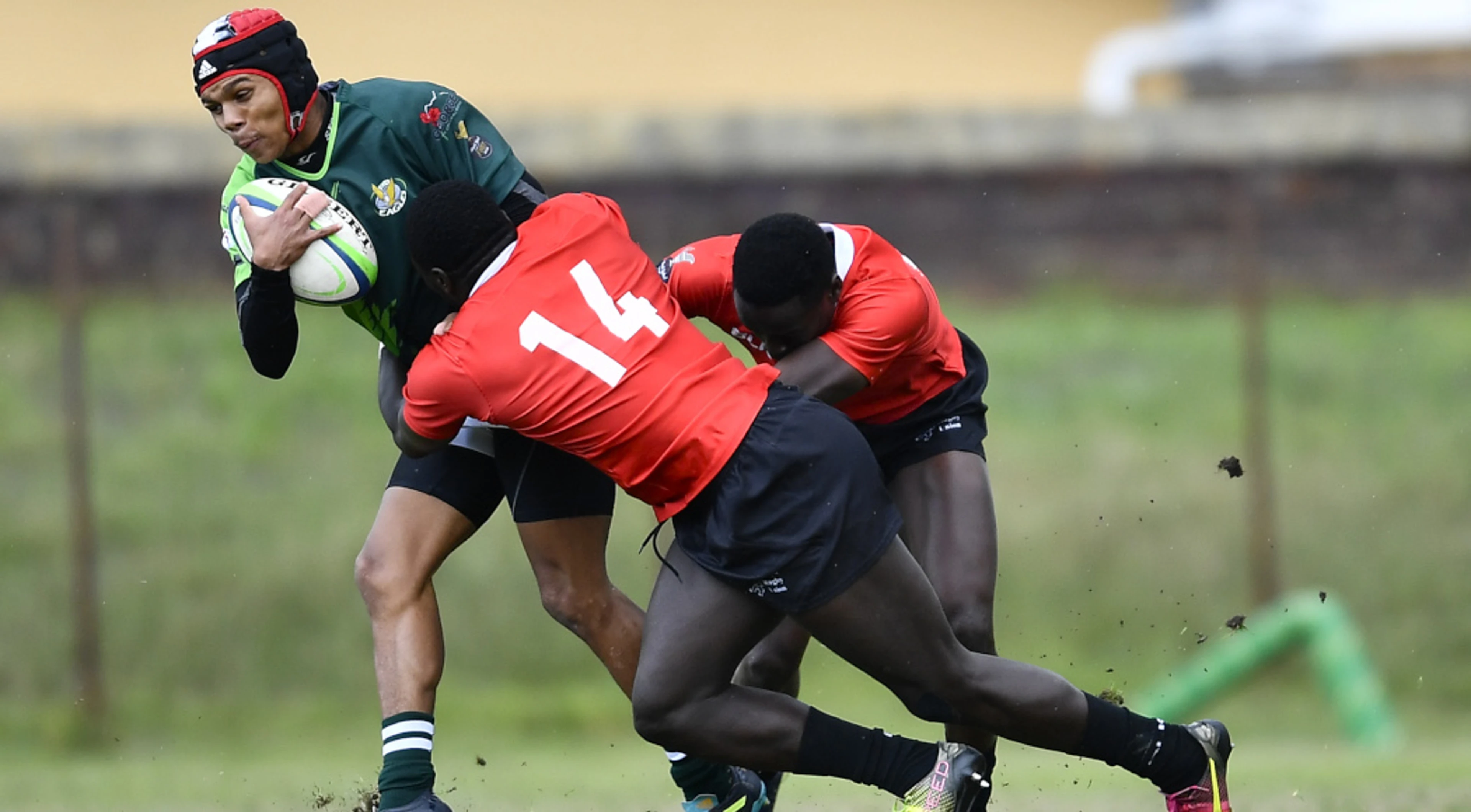 Valke, Eagles, Lions and Simbas pick up good first division wins