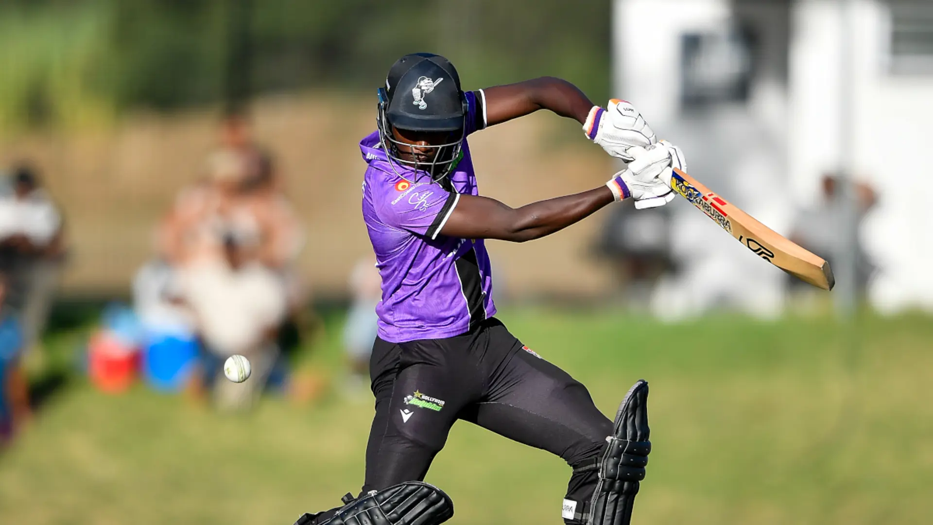 Dolphins to host first edition of exciting T10 competition