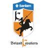 team logo