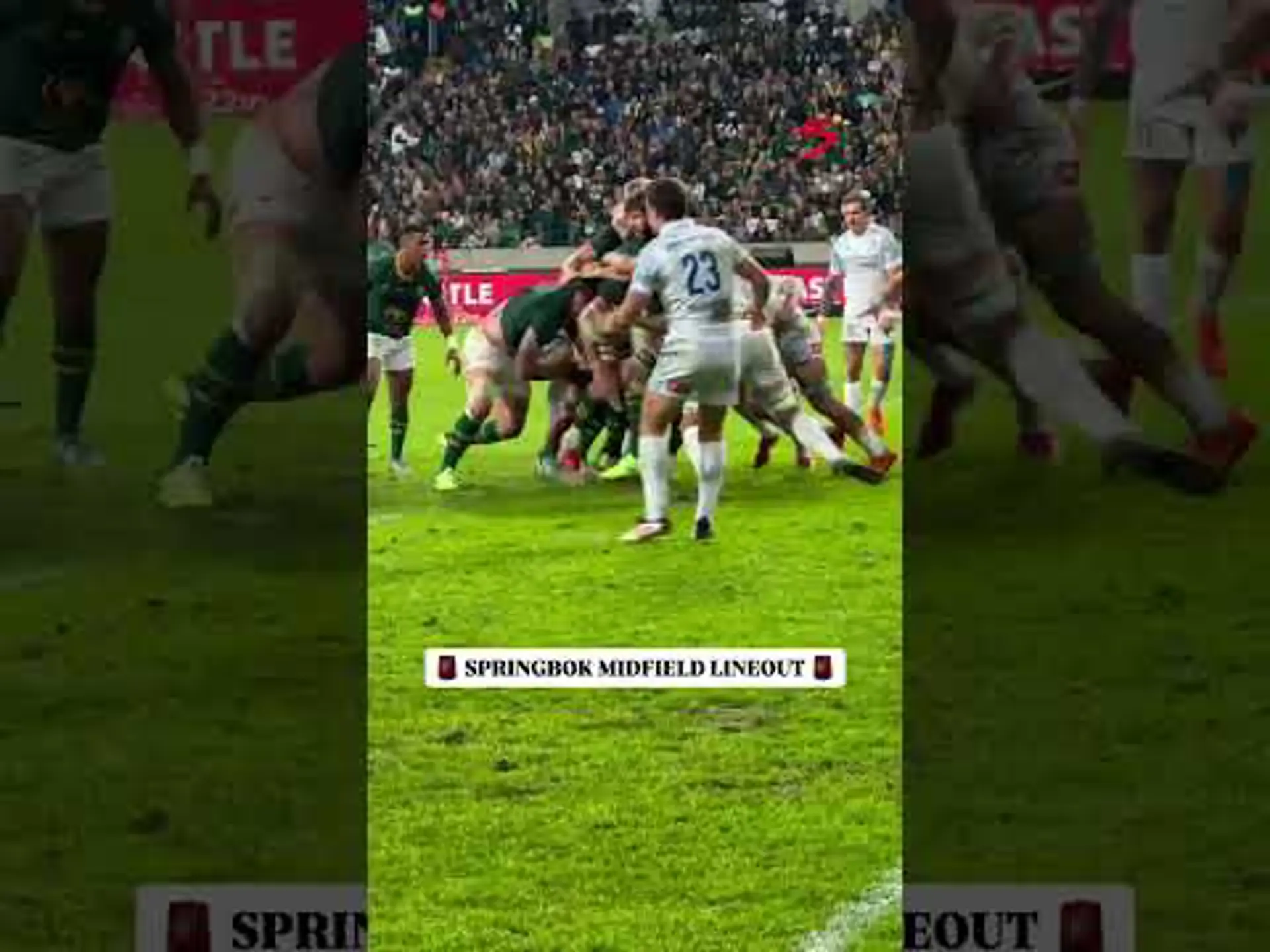 Springbok midfield lineout