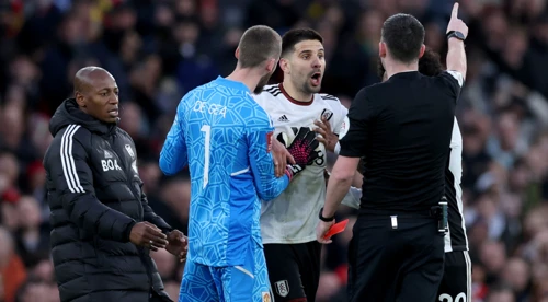Mitrovic handed eight-game ban for pushing referee | SuperSport