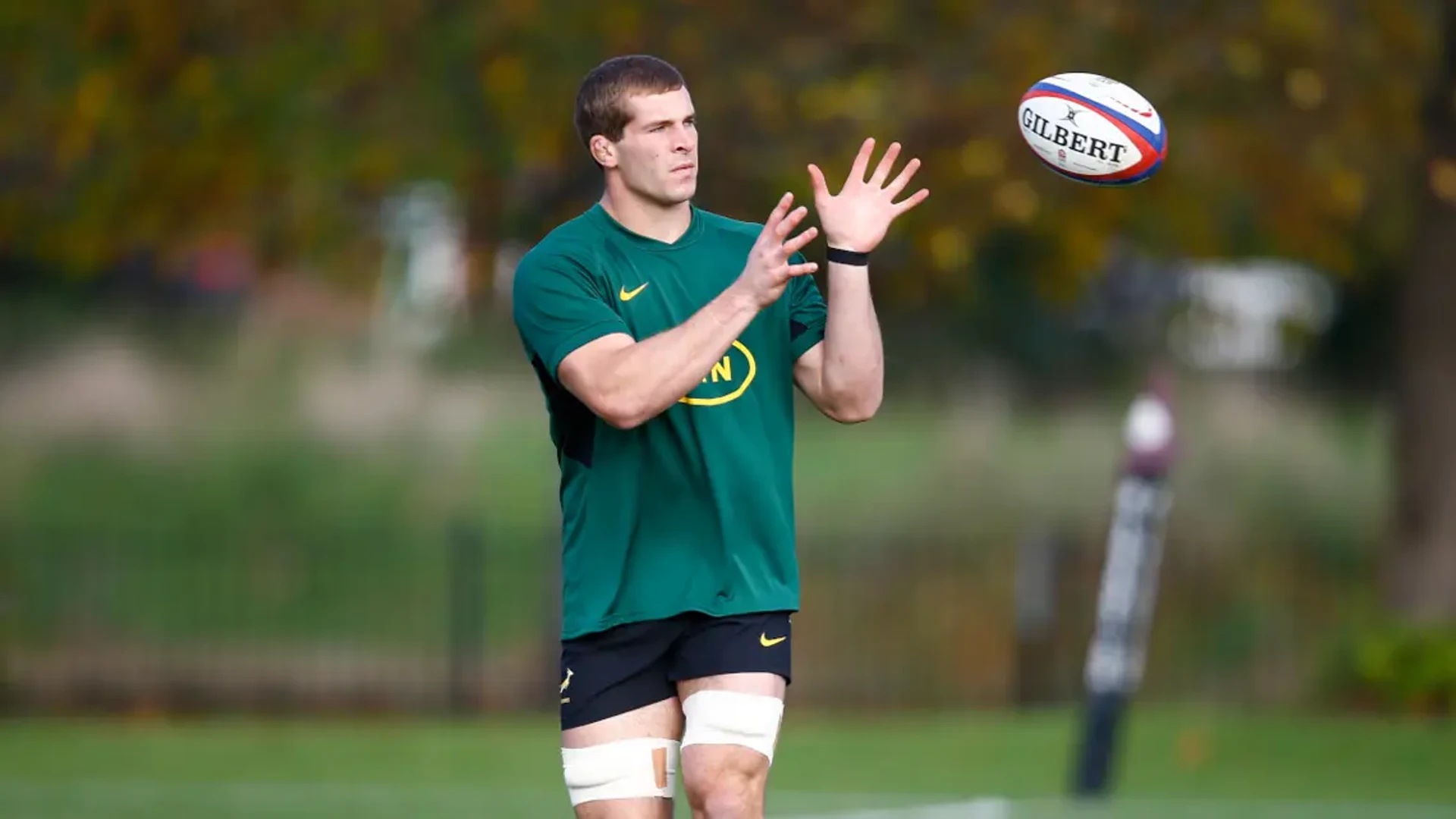 BOK FEATURE: Hanekom's Green and Gold summit