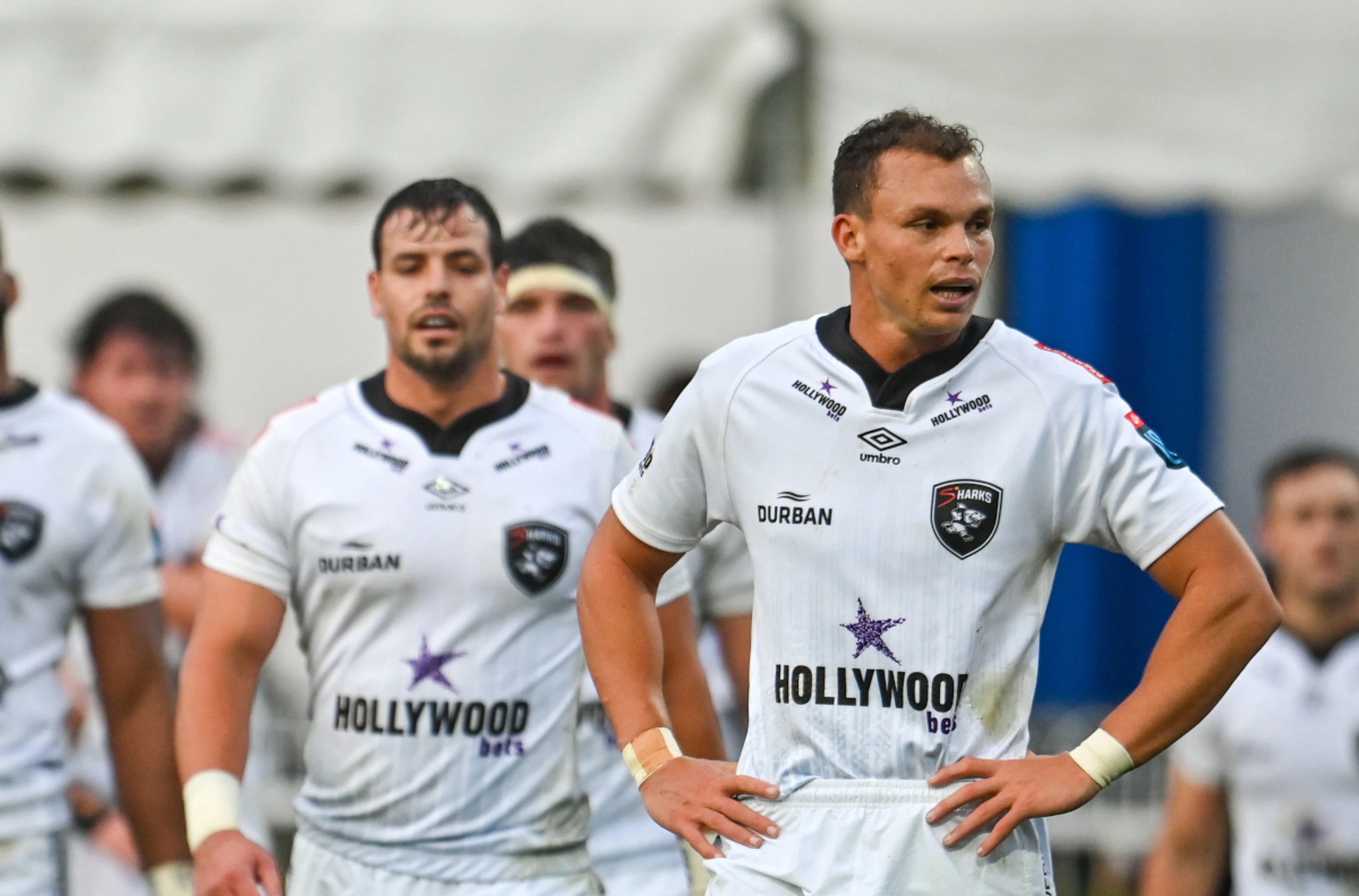 Make or break for Benetton but Sharks face quandary