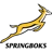 Springboks