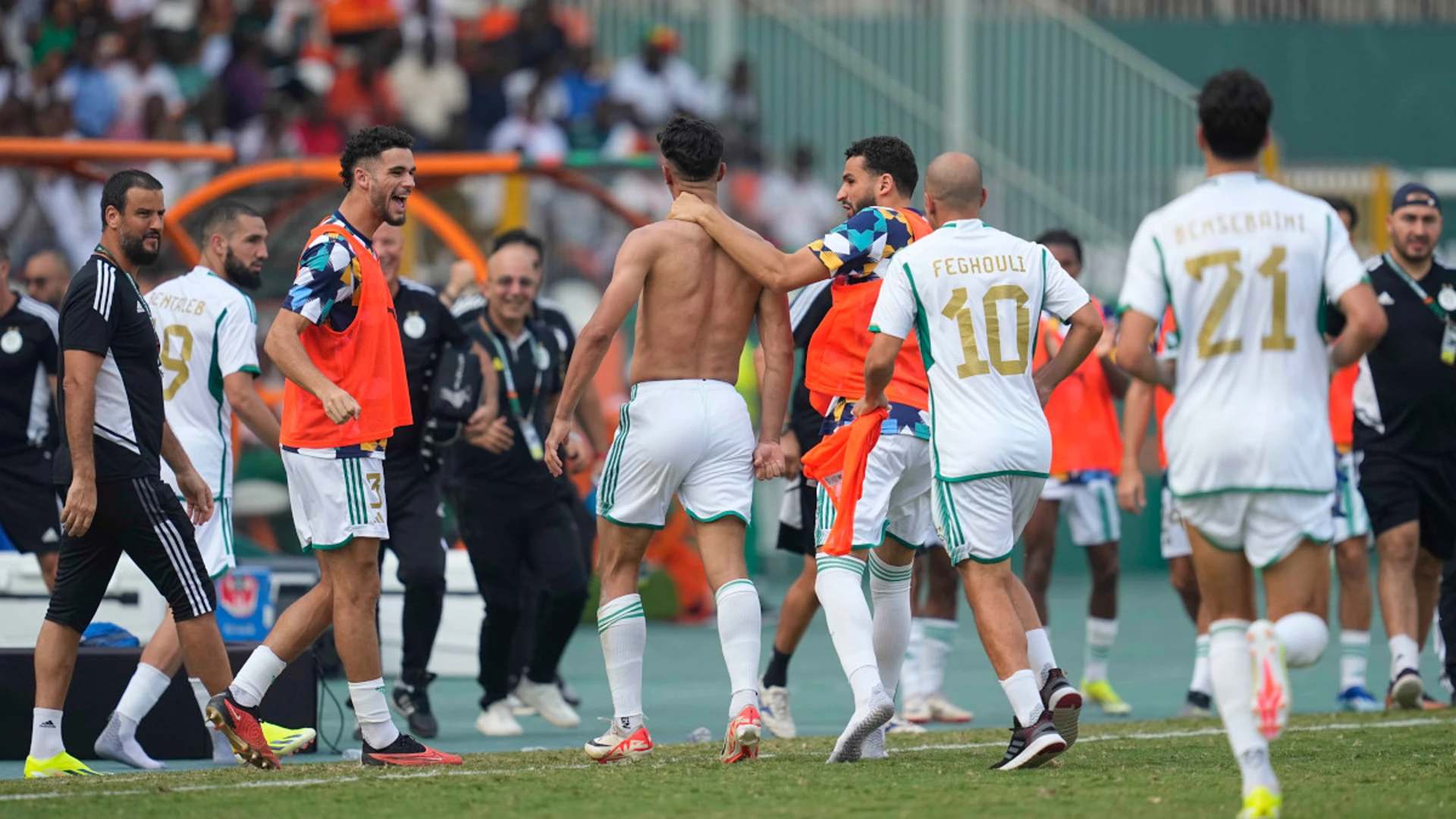 Fake news irritates Algerian football federation