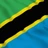 Tanzania Under 19s logo