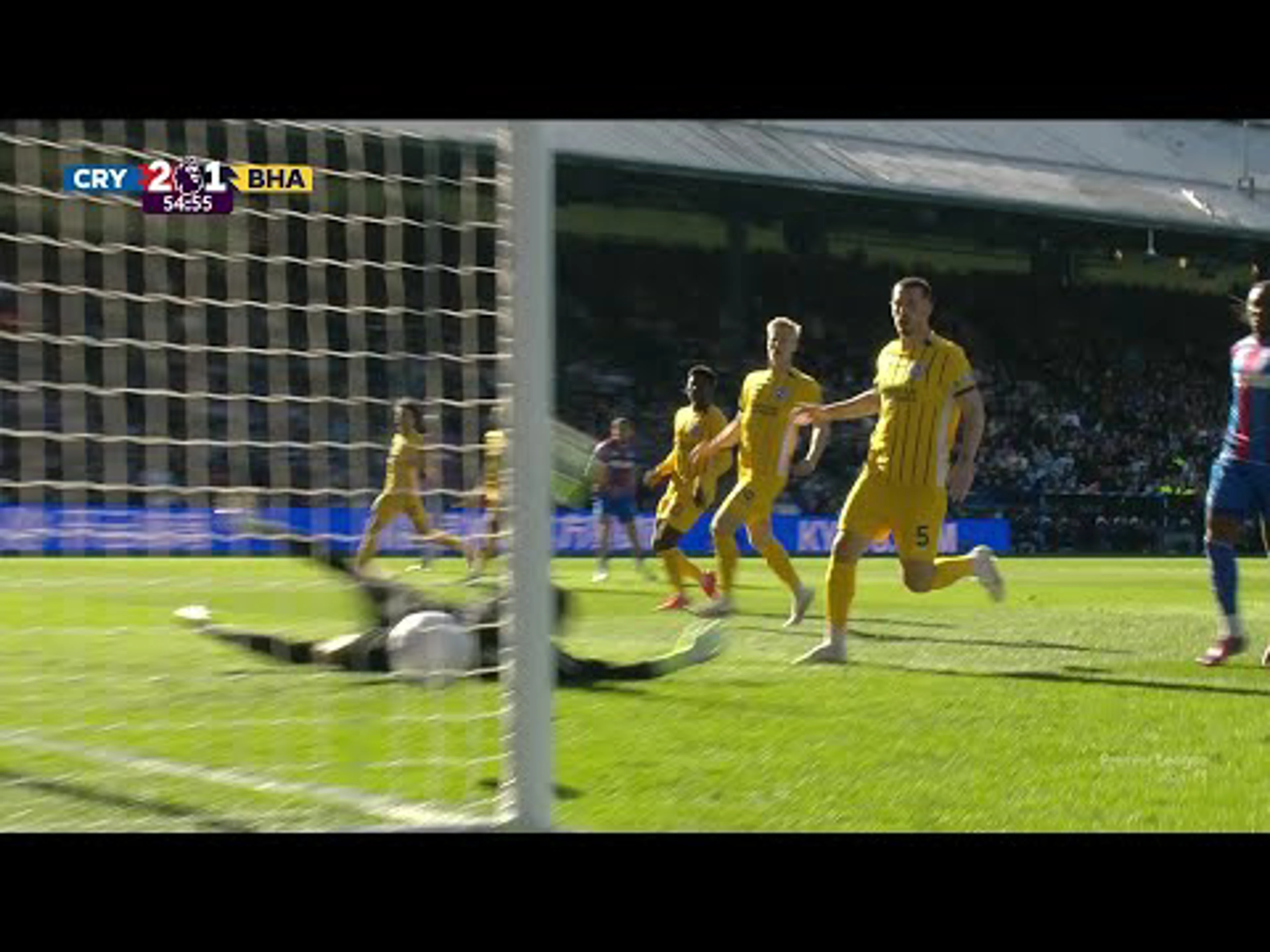 Daniel Muñoz | 55ᵗʰ Minute Goal v Brighton