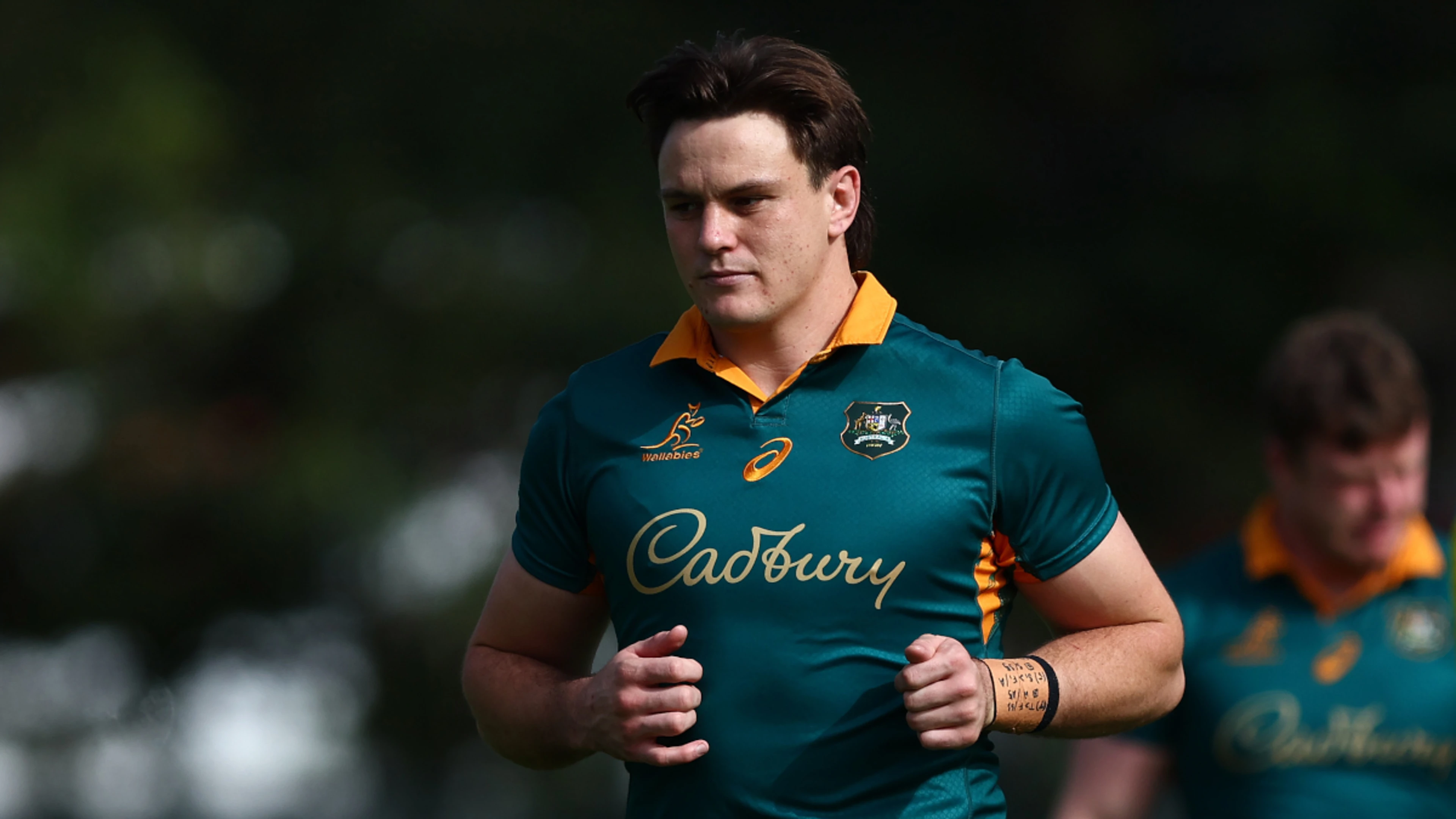 Australia look to dogs of war in Ellis Park battle against Springboks