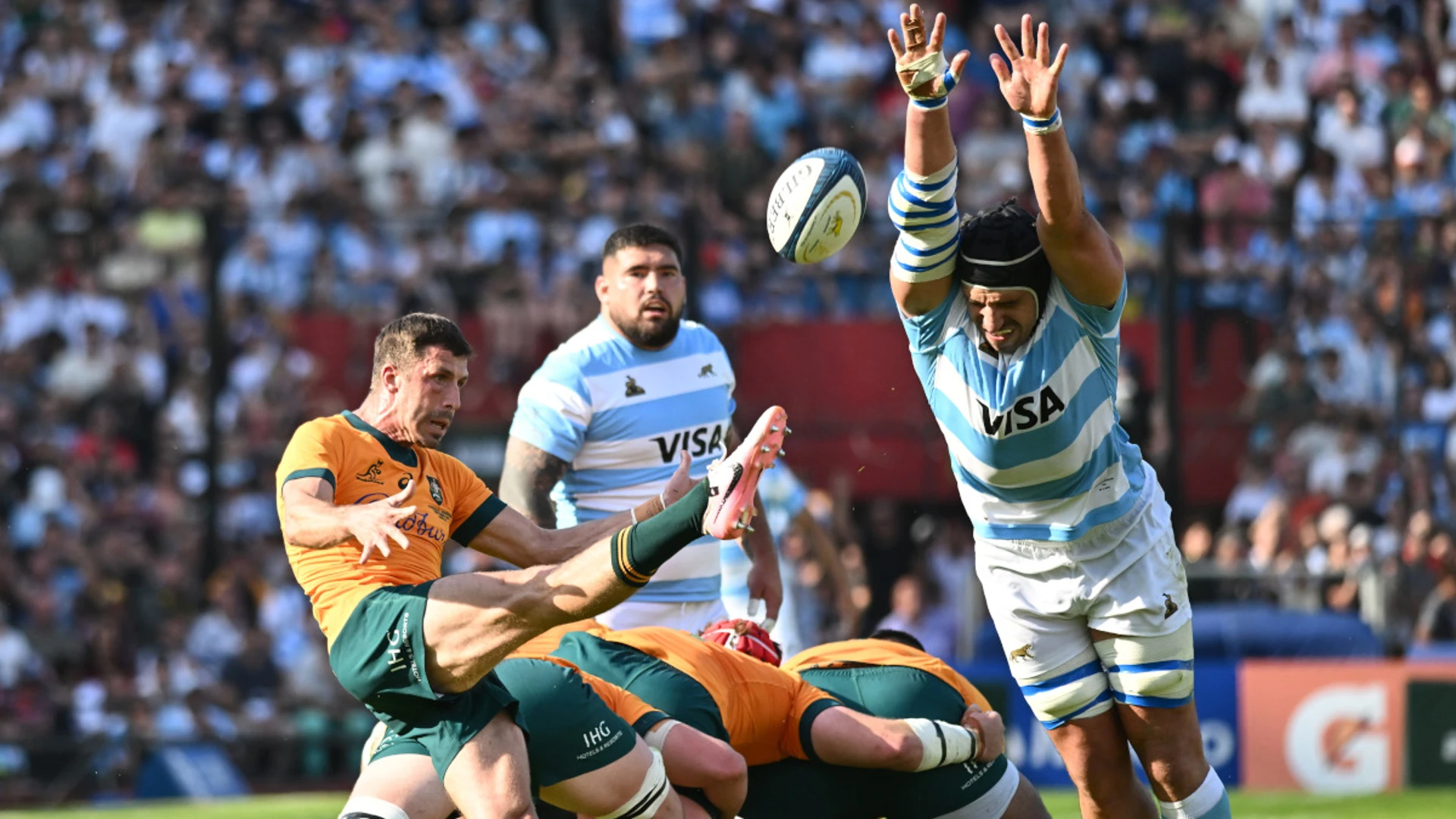 TALKING POINT: With Australia imploding, has the Rugby Championship run course?