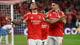 /media/5z5ne1os/benfica_v_napoli_matchin5_ucl_p.png