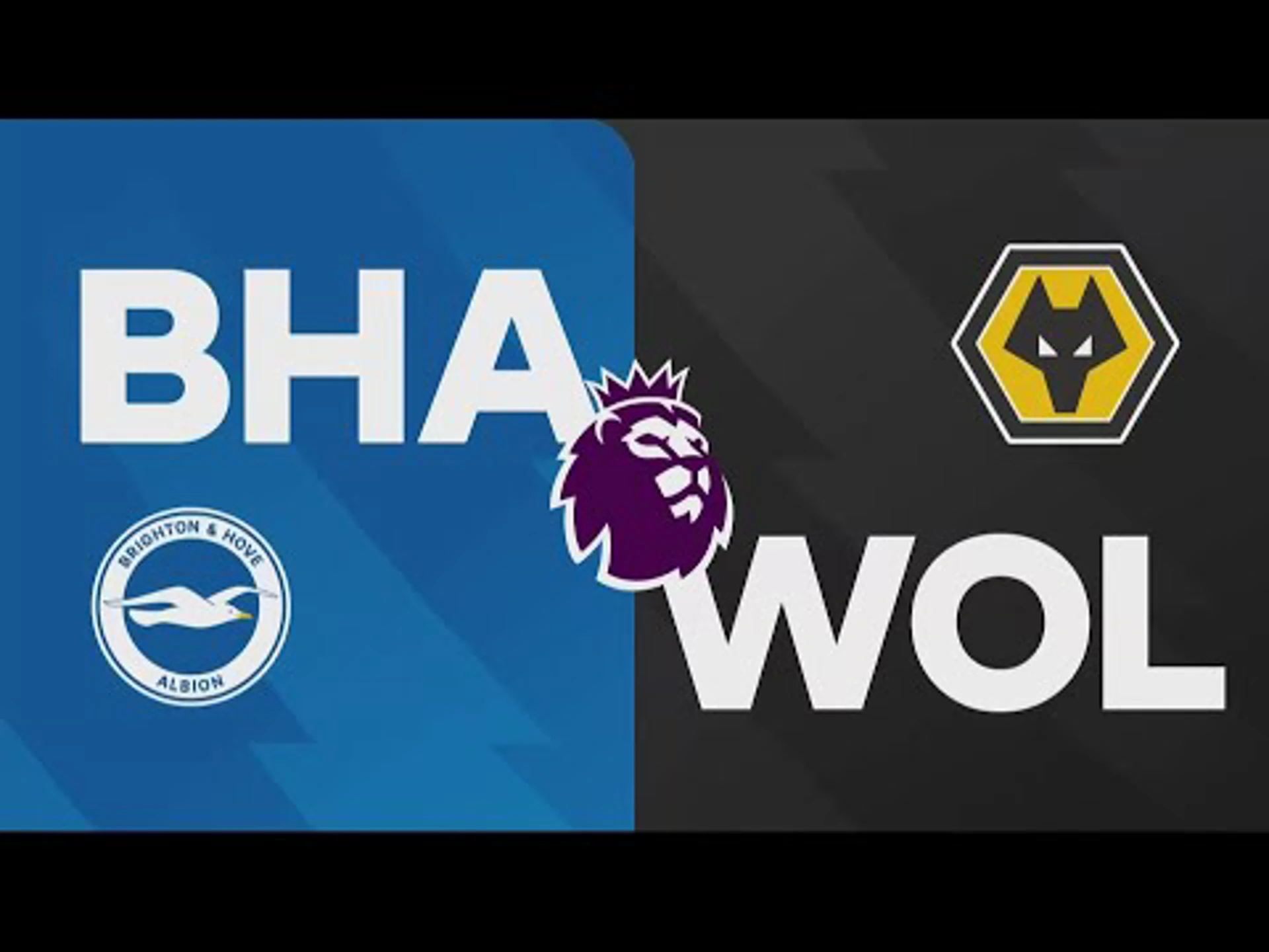 Brighton & Hove Albion v Wolverhampton Wanderers | Match Preview | Premier League Matchday 9