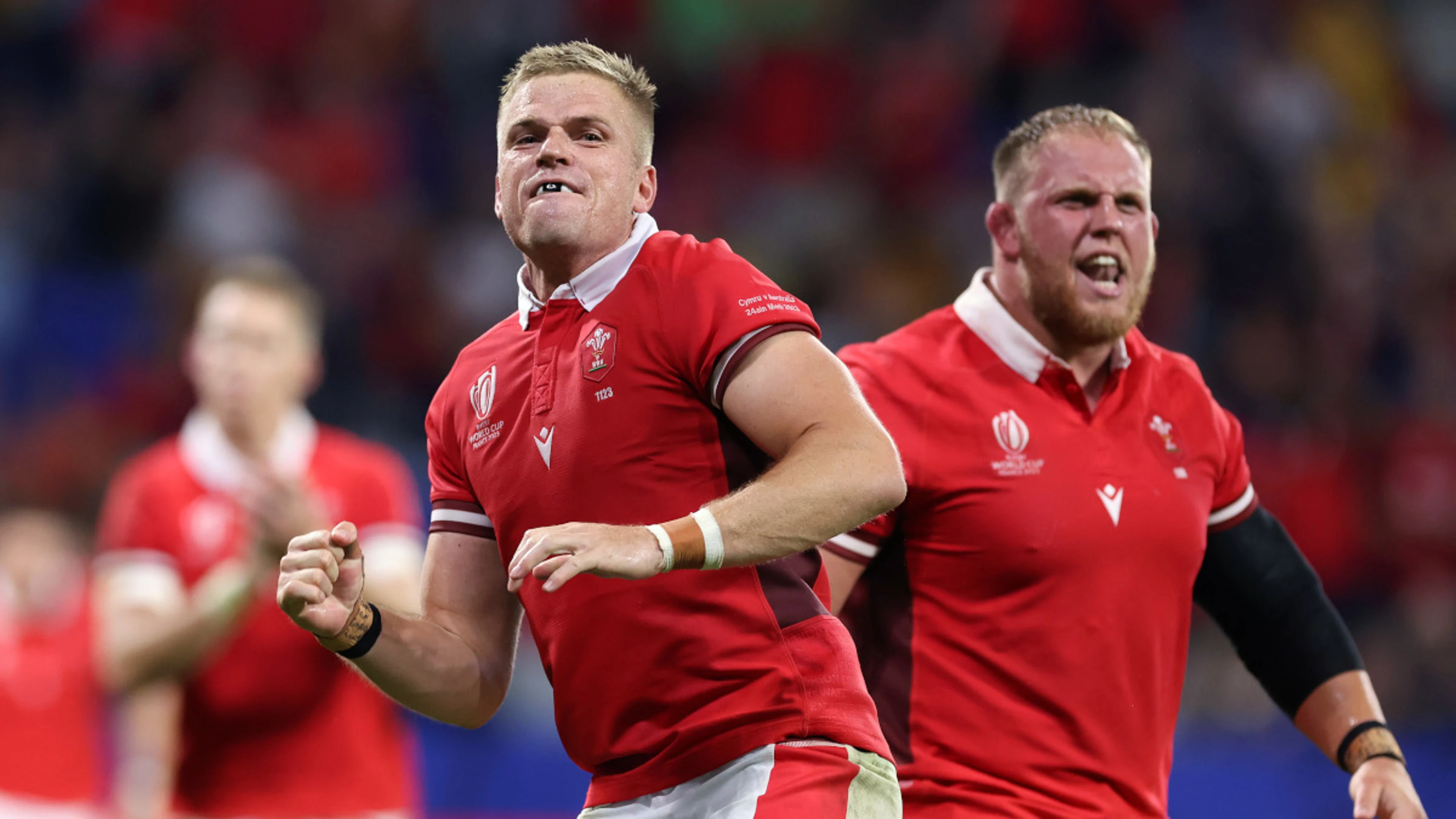 Bone graft helps Wales' Anscombe back into Rugby World Cup limelight