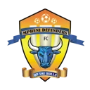 team-logo