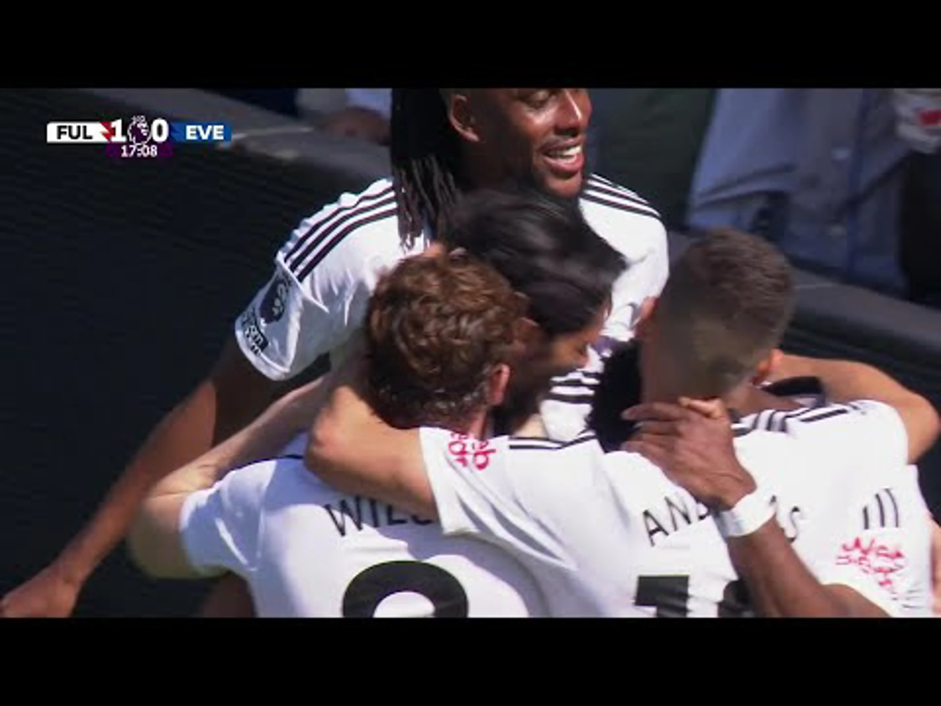 Raúl Jiménez | 17ᵗʰ Minute Goal v Everton