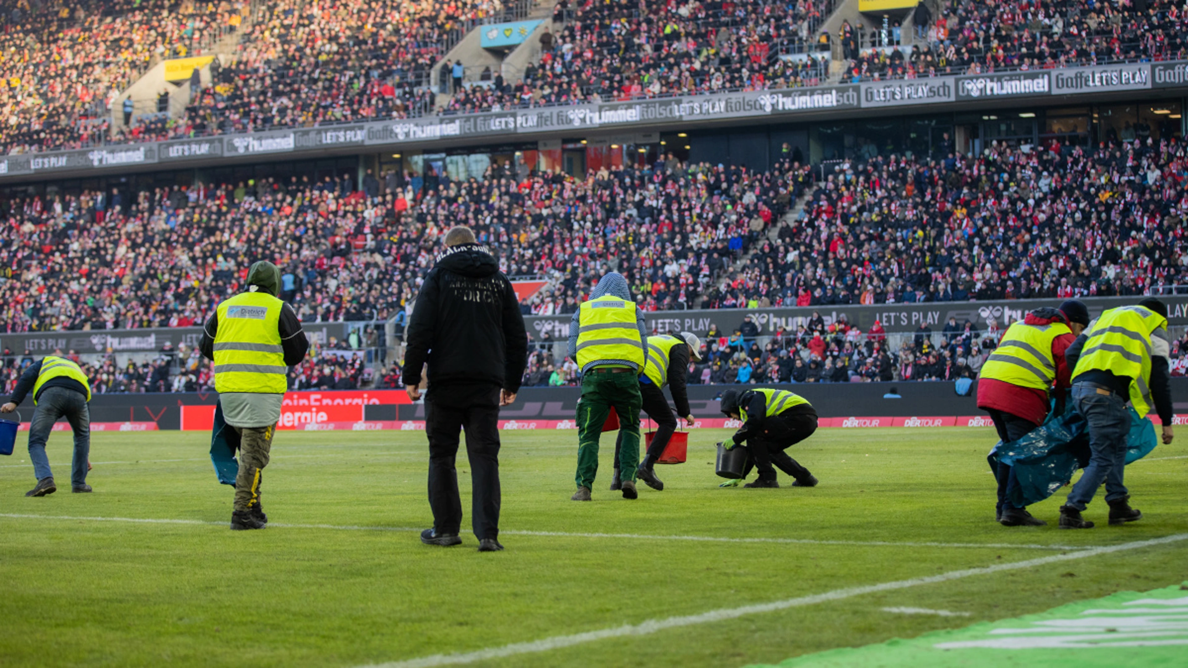 Promoted Cologne appoint Kwasniok as manager