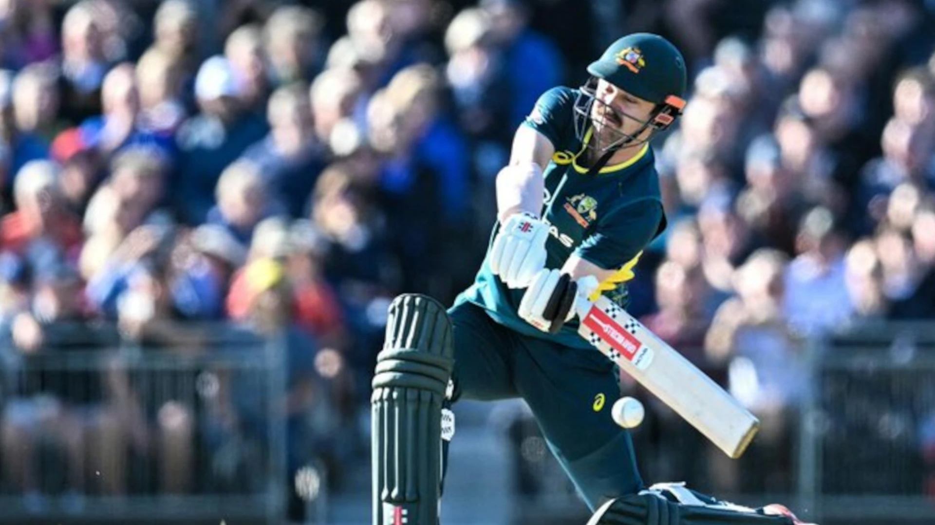 Head slays Scotland in rapid Australia T20 win