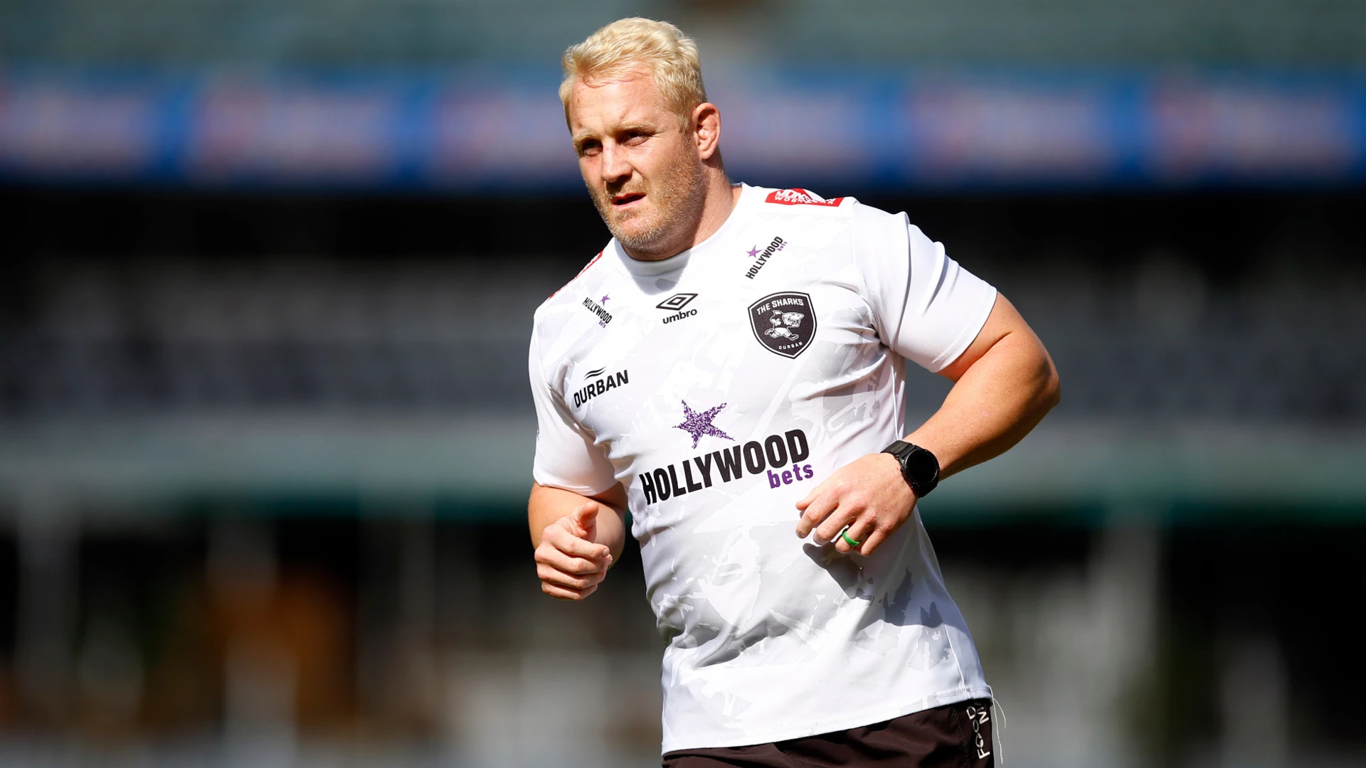 Bok prop Koch bolsters young Sharks team for Sale clash