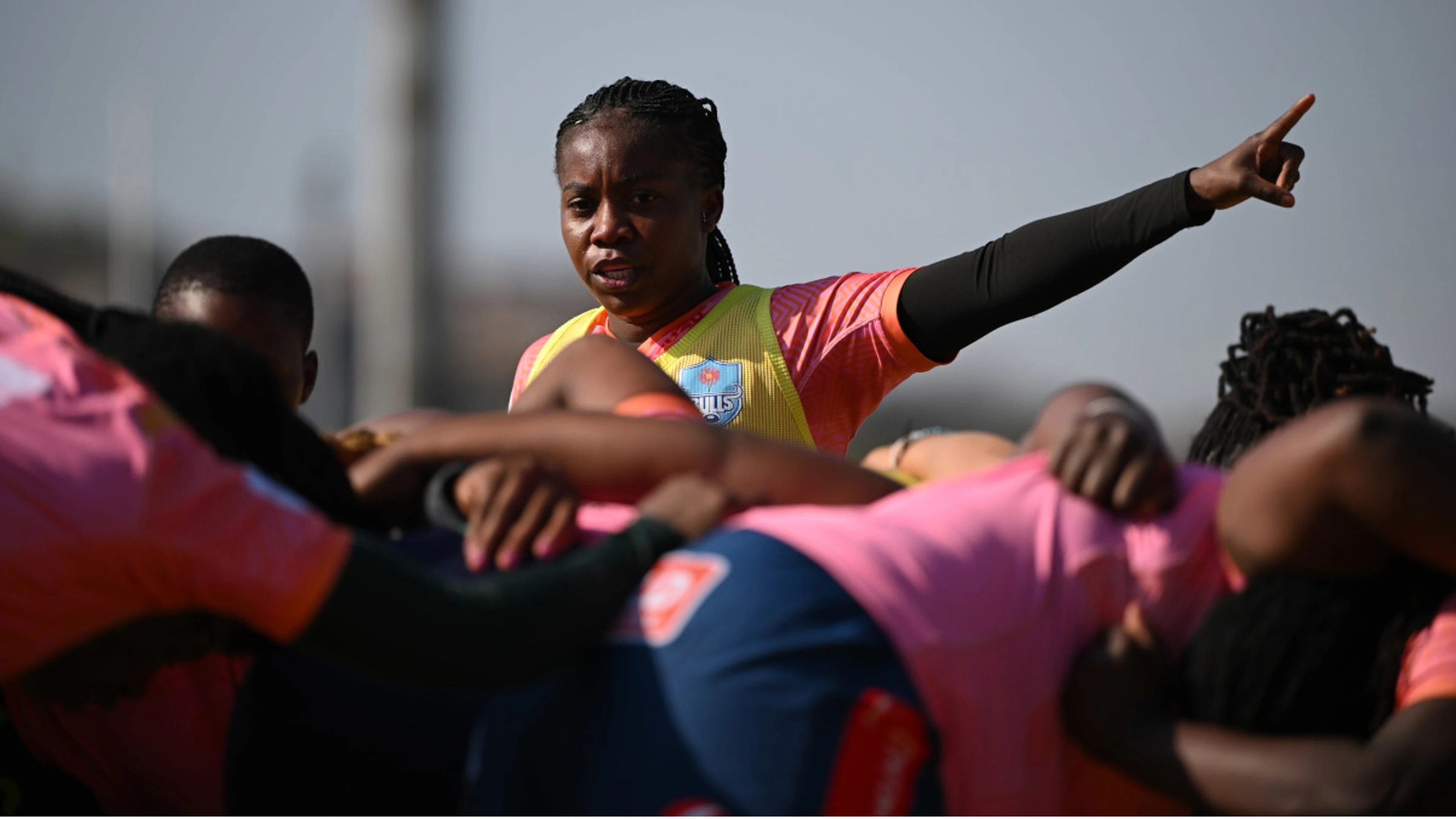 Daisies determined to make successive final despite border challenge