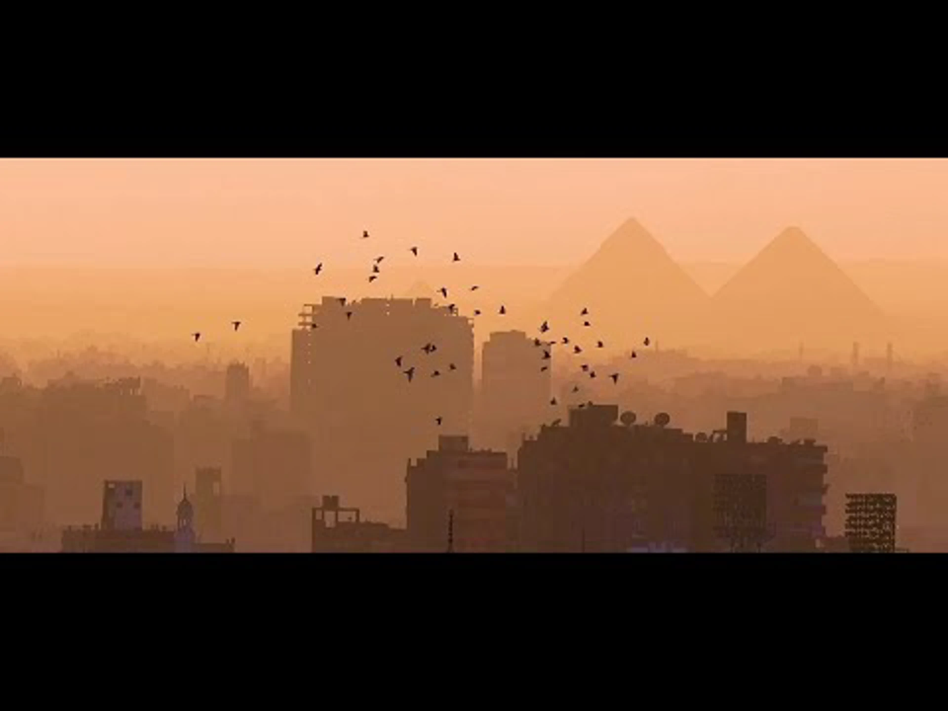Al Ahly | Iconic Clubs | FIFA Club World Cup 2025