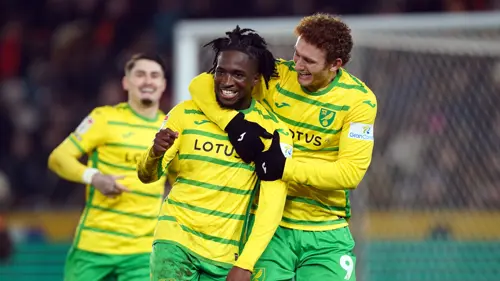 Norwich ease pressure on Wagner with win at Hull